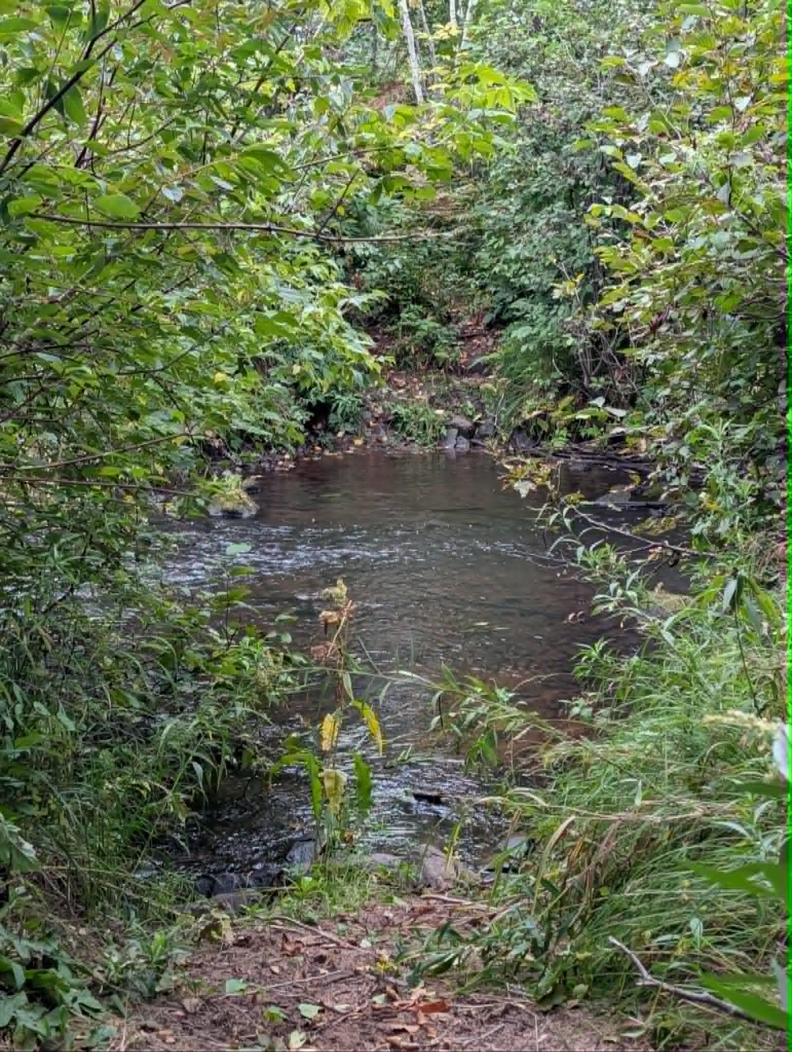 main property photo 15