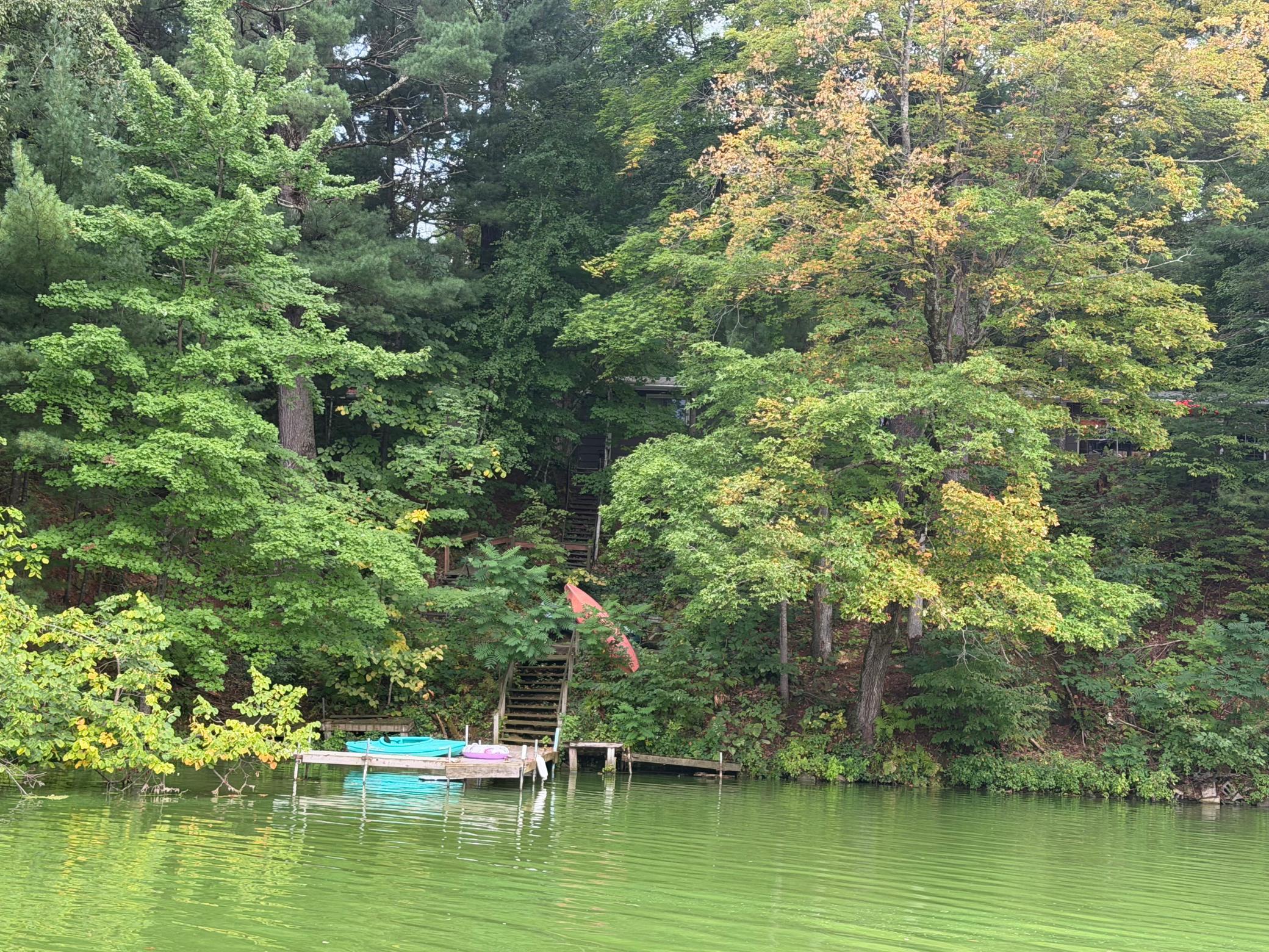 main property photo 52