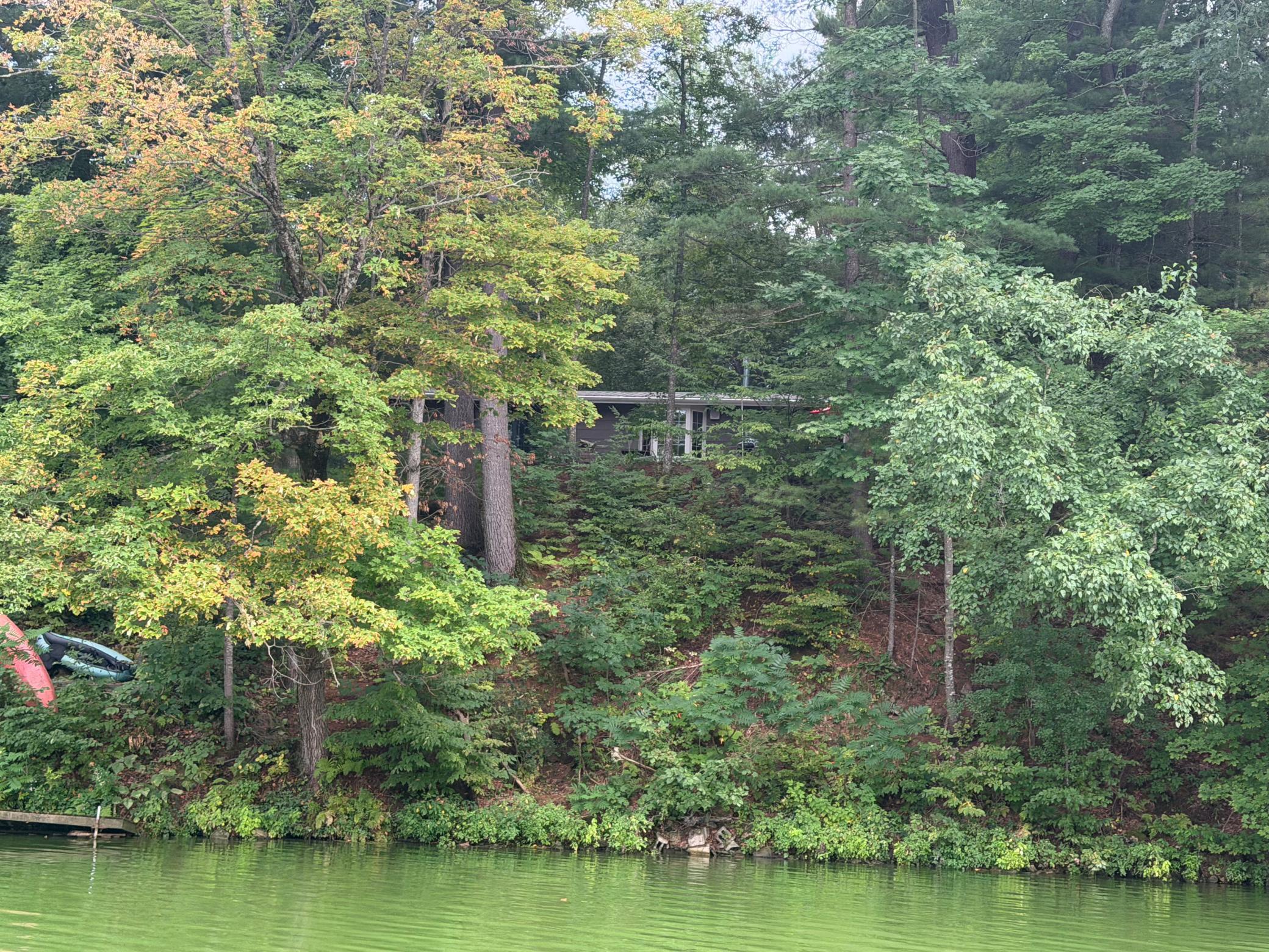 main property photo 53