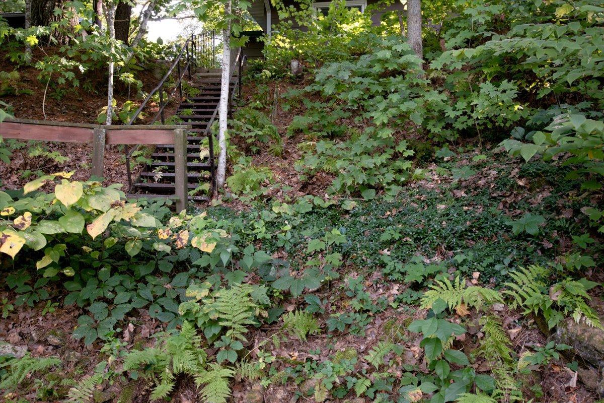 main property photo 56