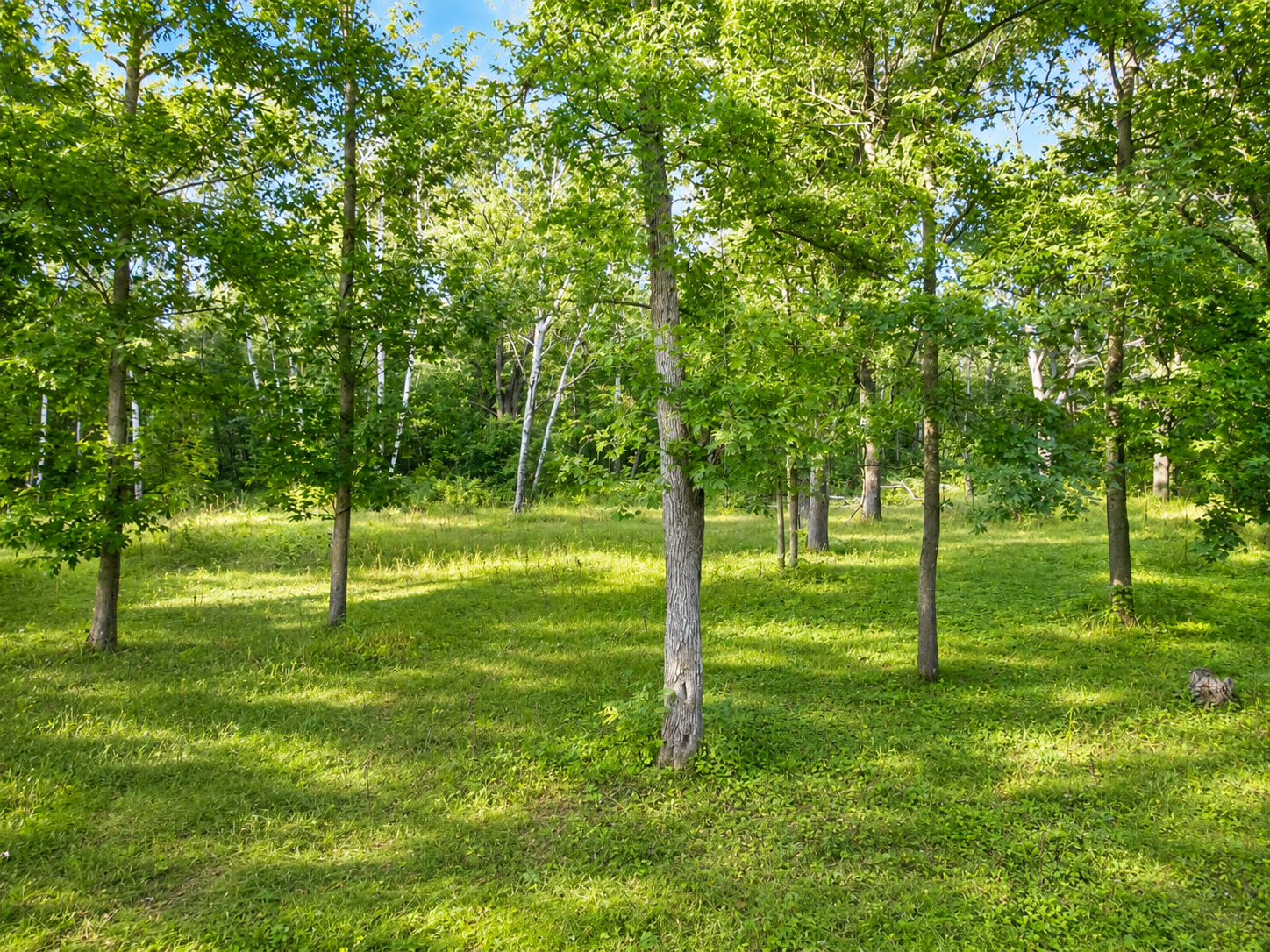 main property photo 11