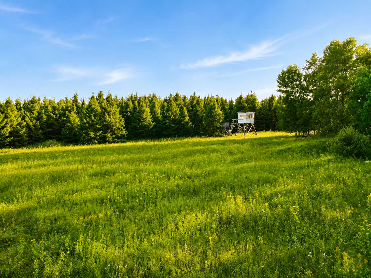 main property photo 15