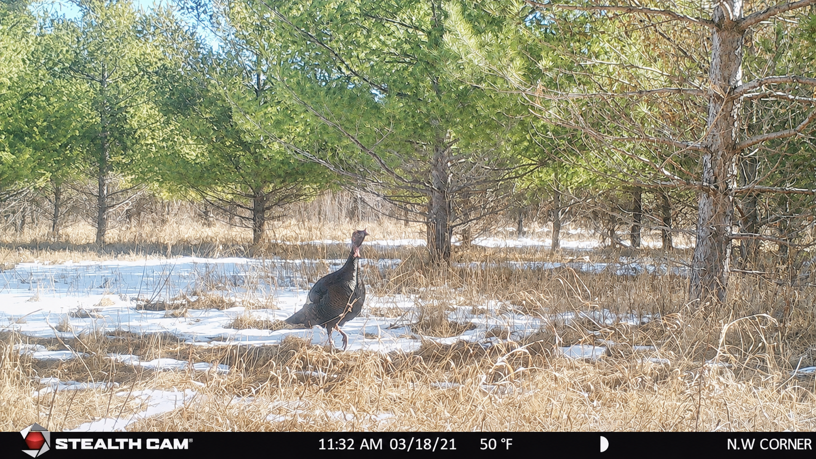 main property photo 24