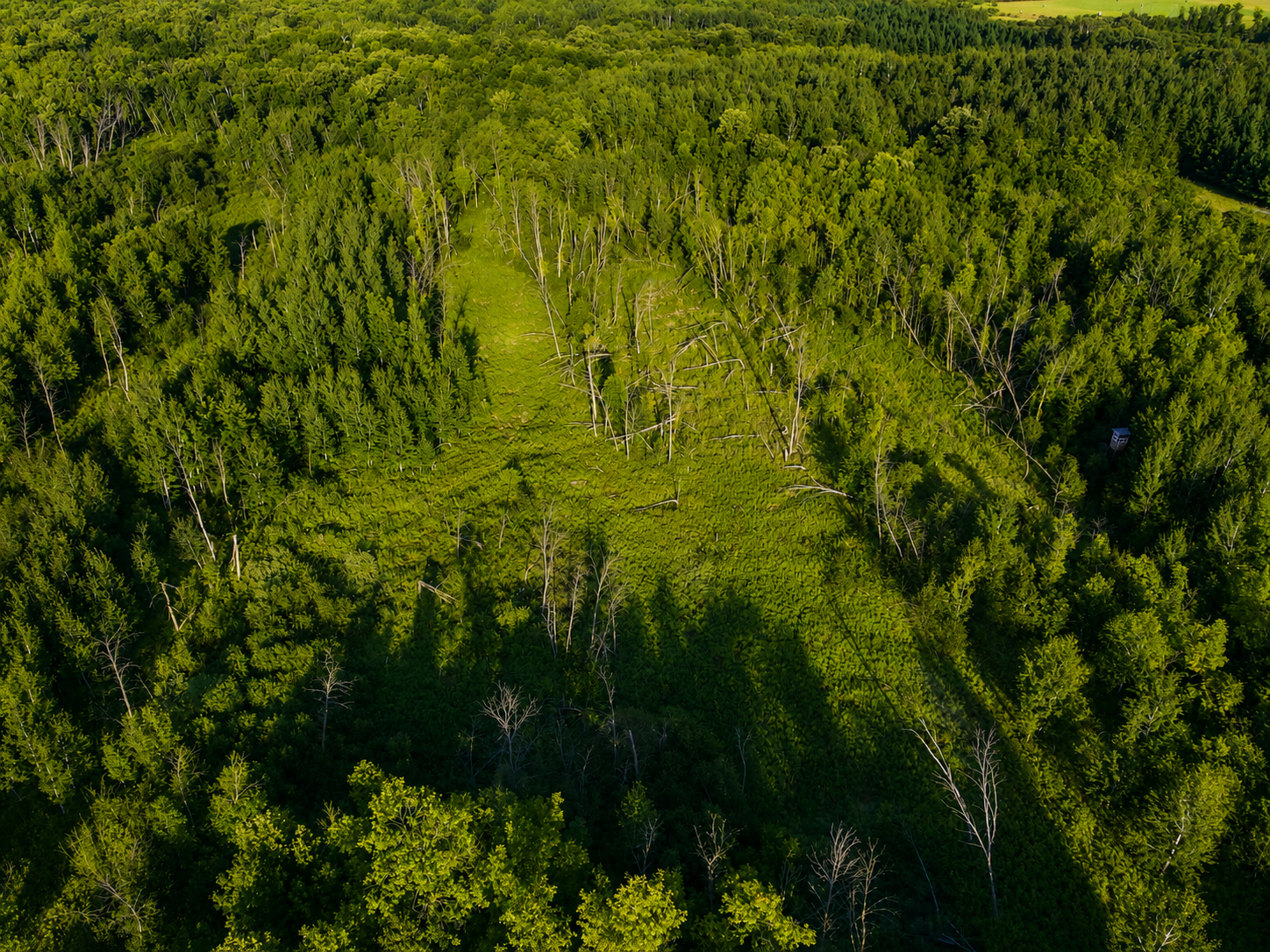 main property photo 7