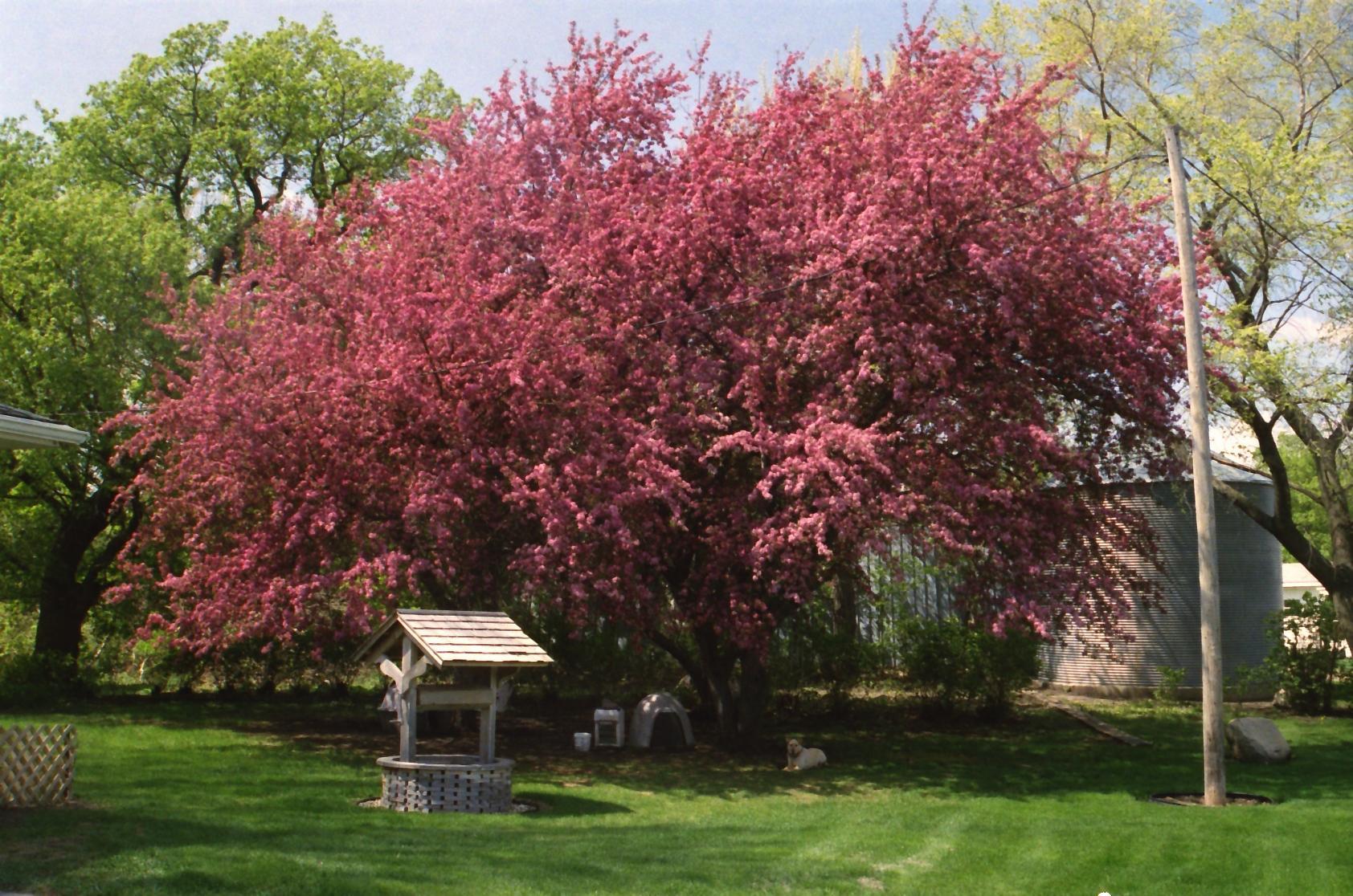 main property photo 113
