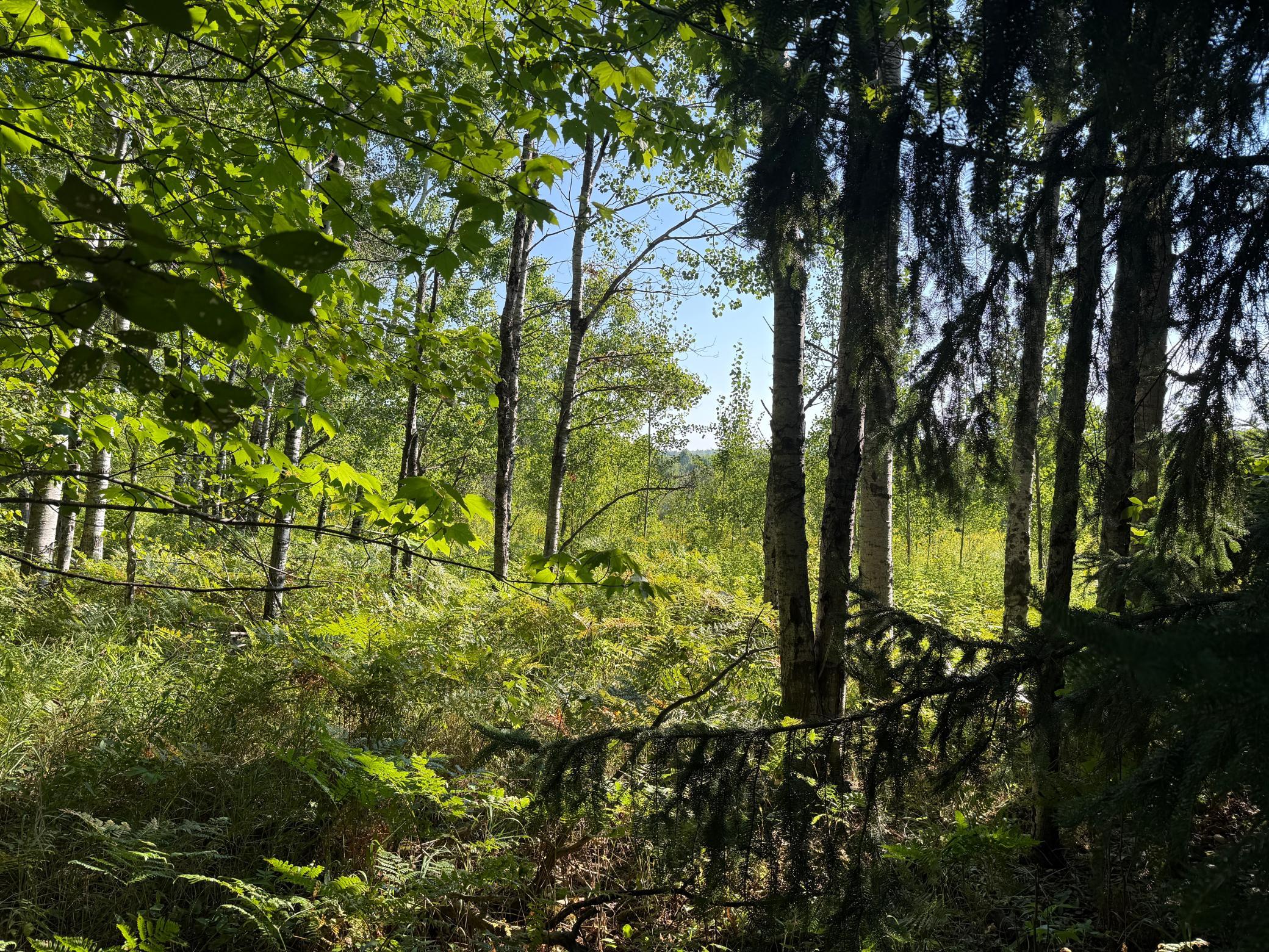 main property photo 11