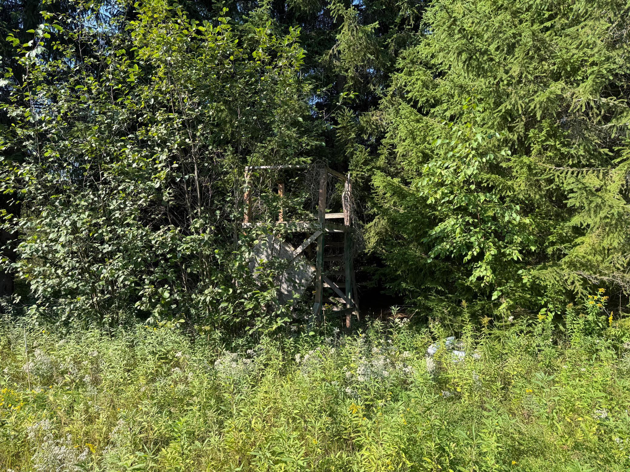 main property photo 12