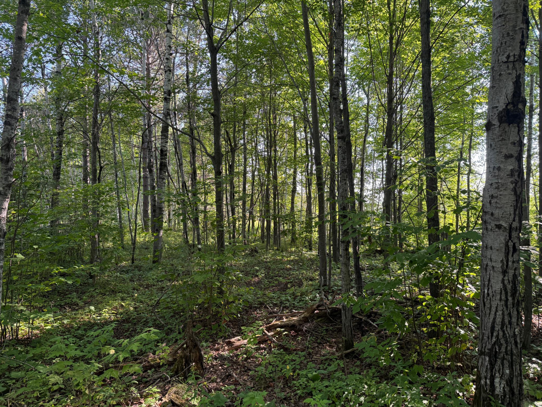 main property photo 14