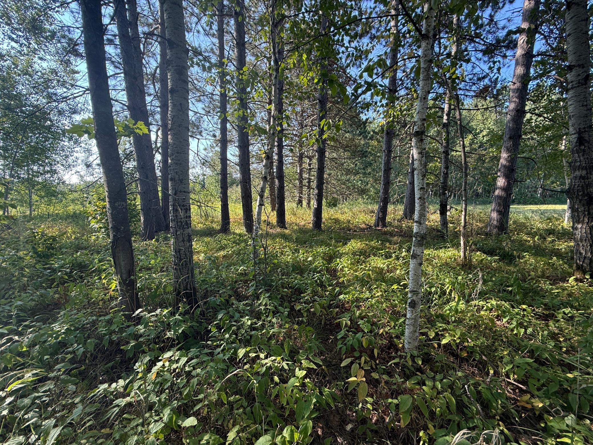 main property photo 15