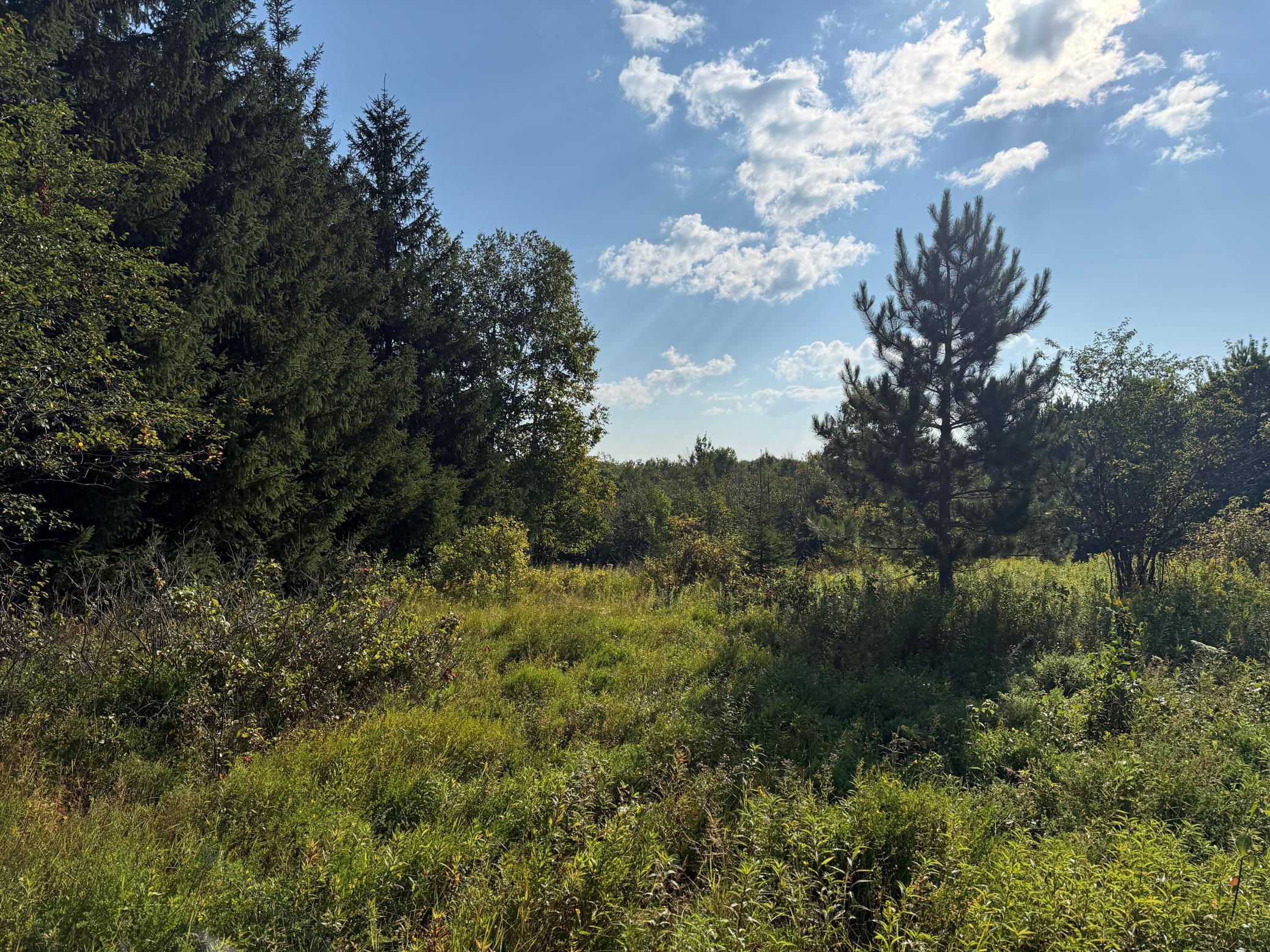 main property photo 20