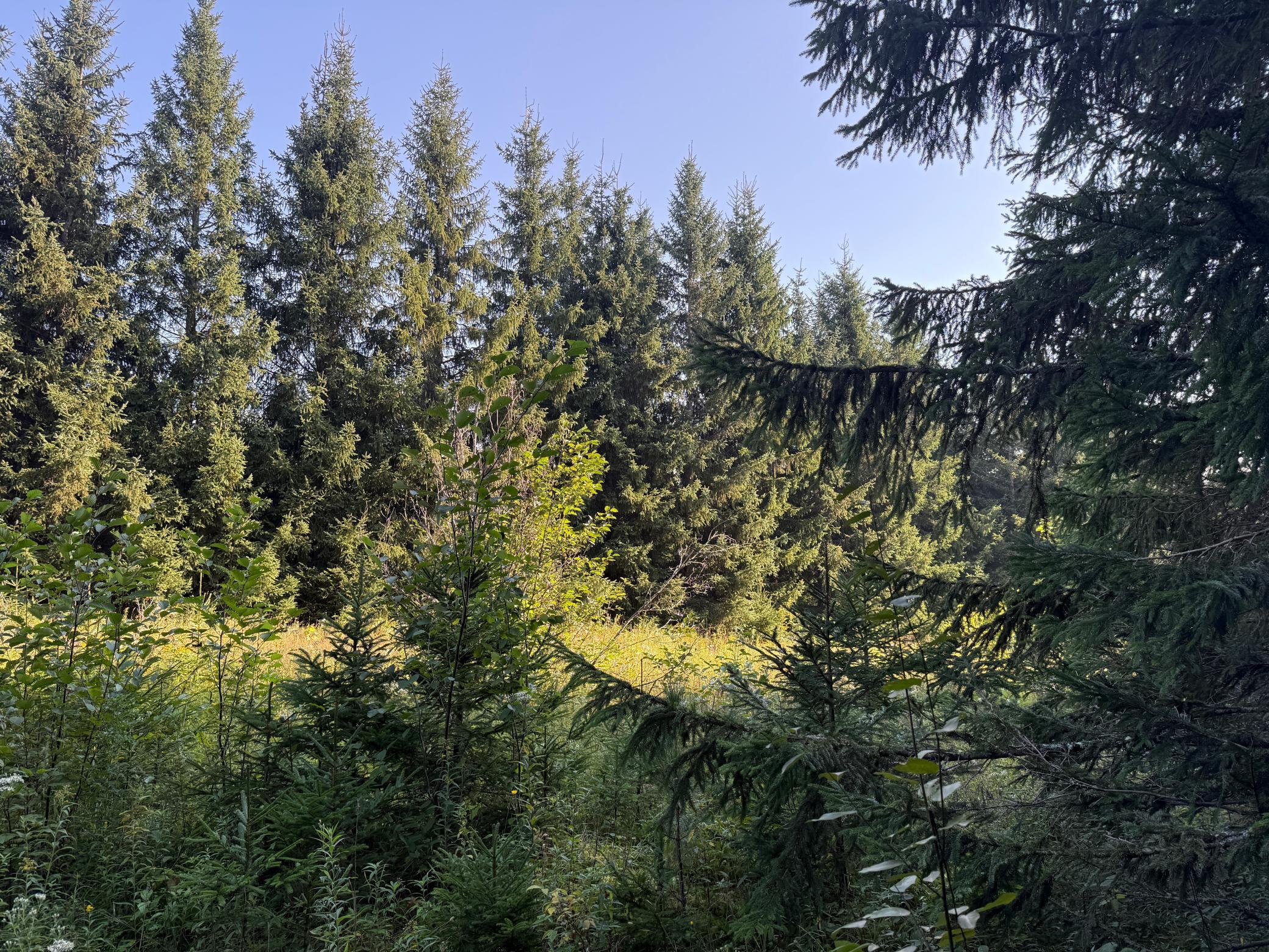 main property photo 27