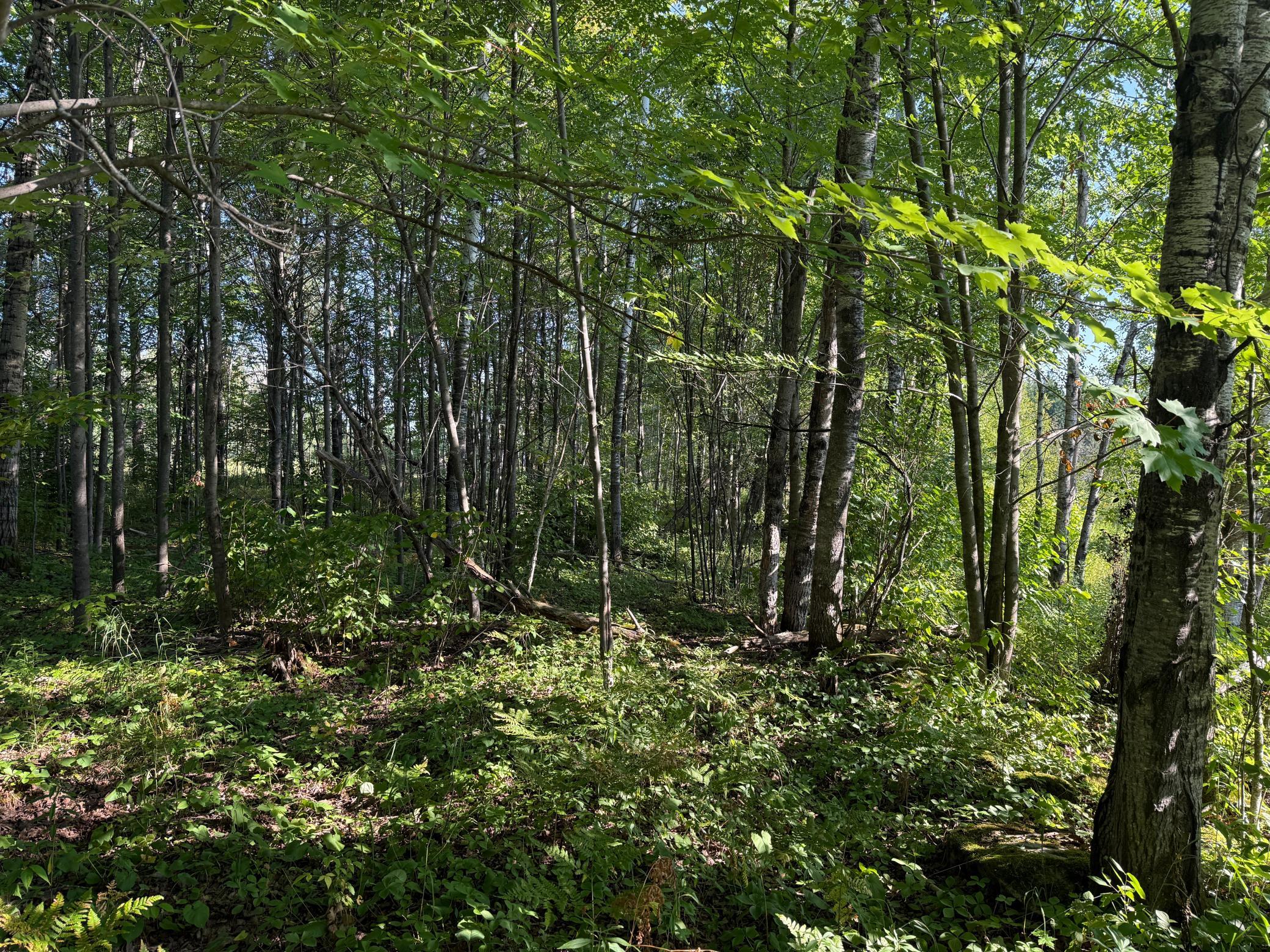 main property photo 31