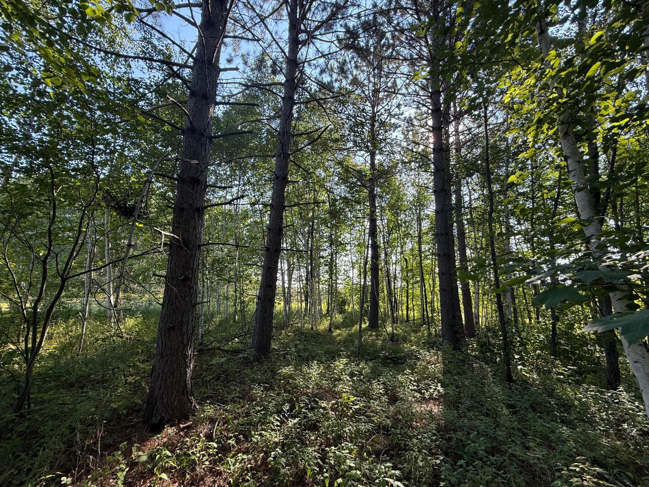 main property photo 35