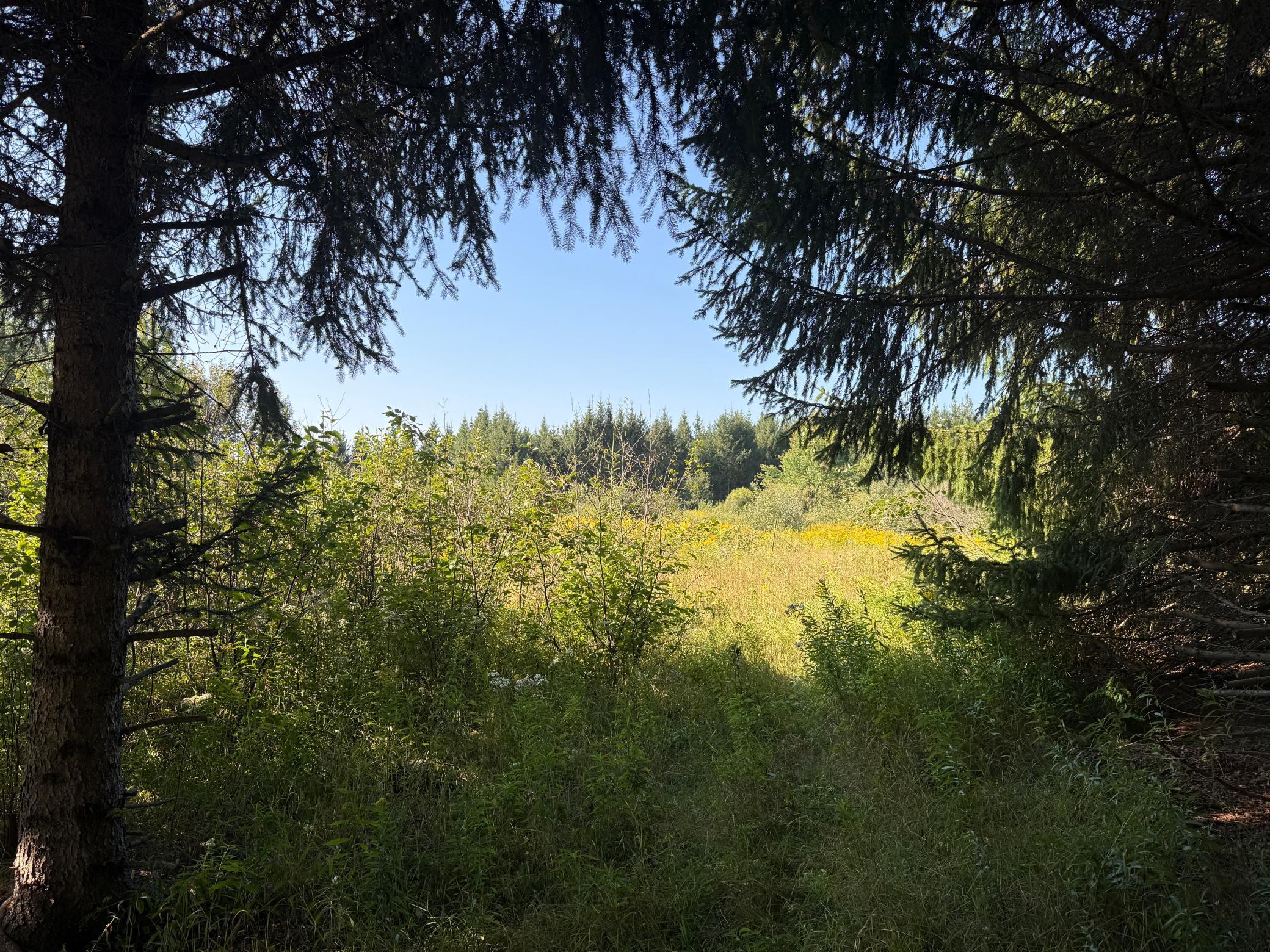 main property photo 48