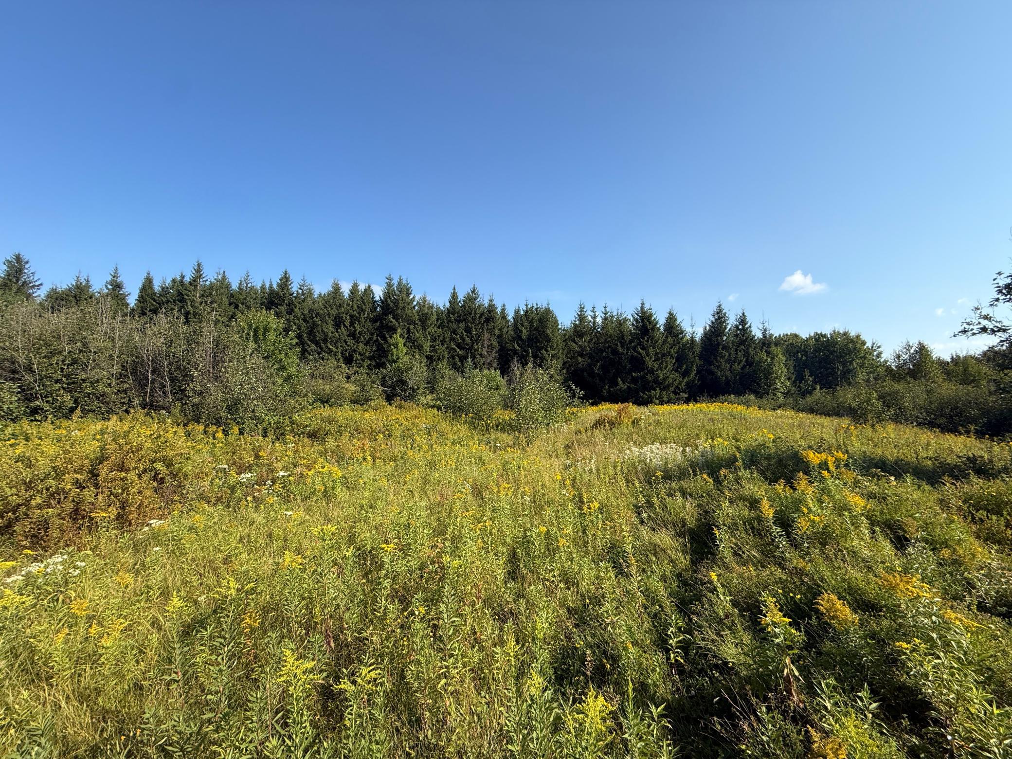 main property photo 49