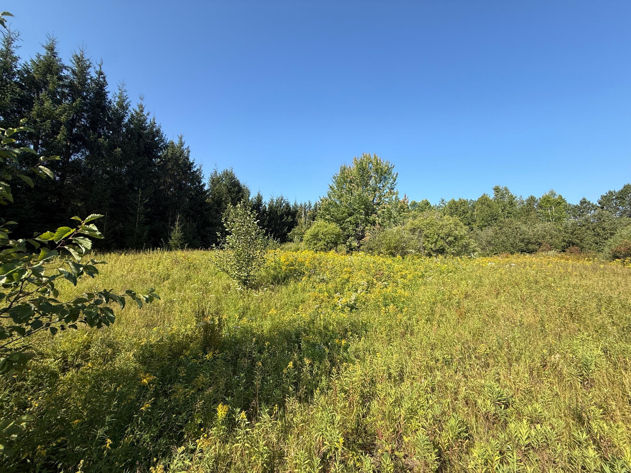 main property photo 51
