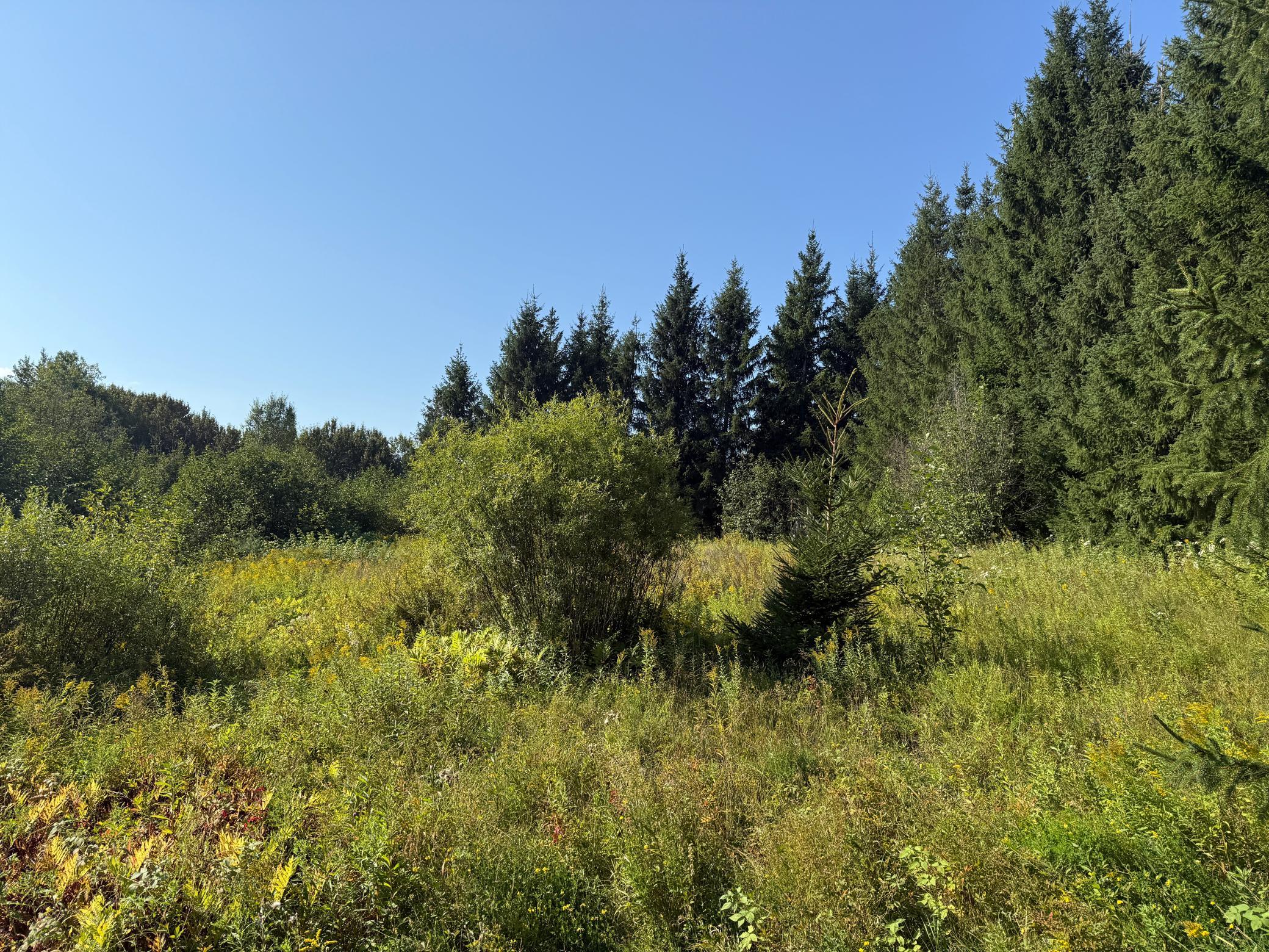 main property photo 52