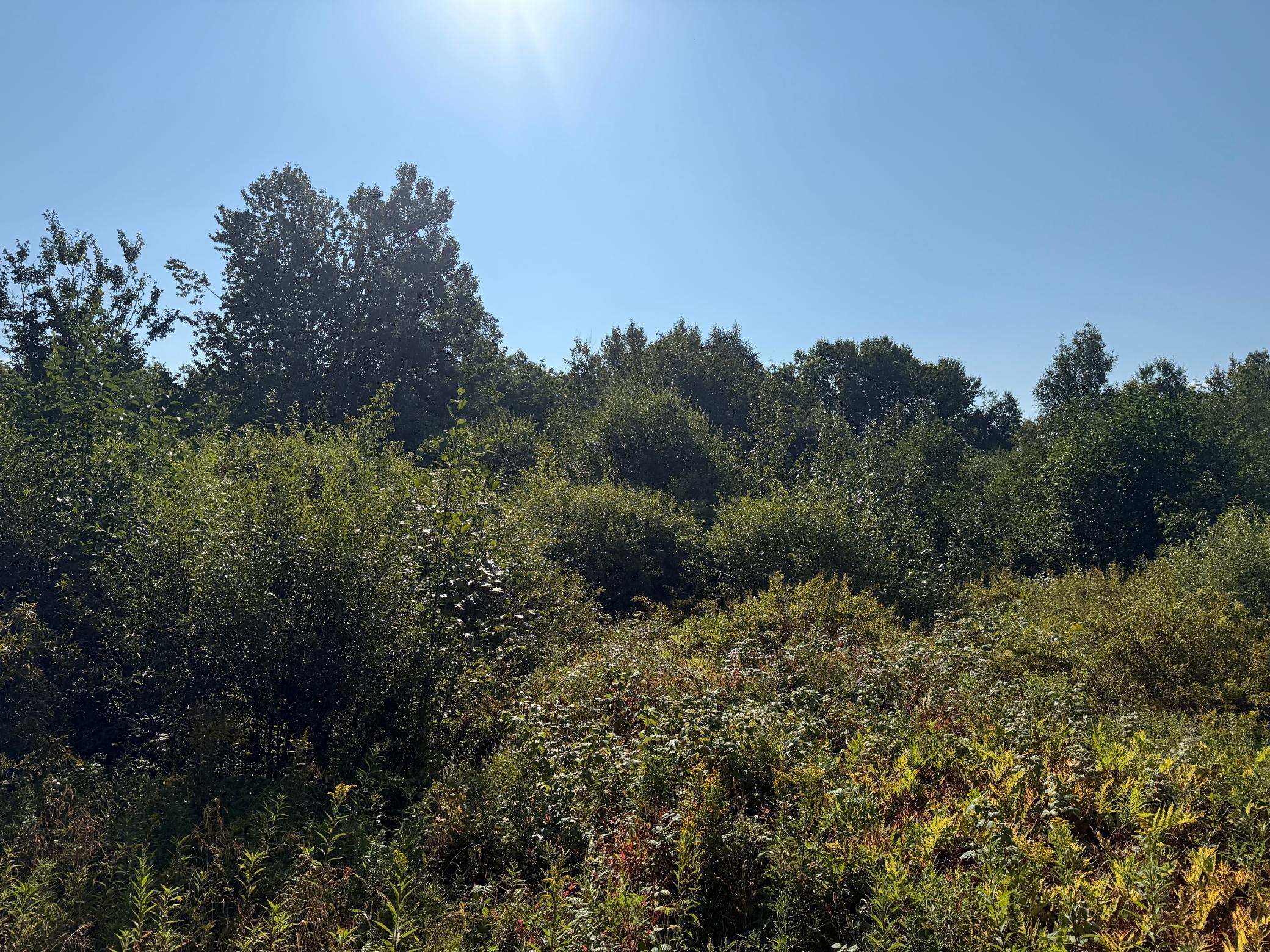 main property photo 53