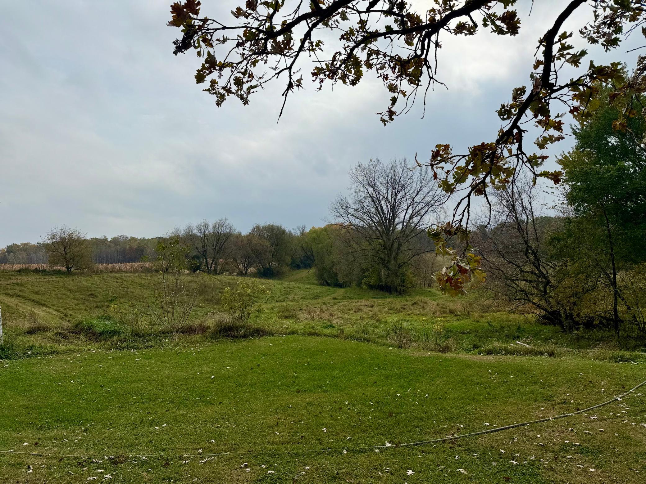 main property photo 13