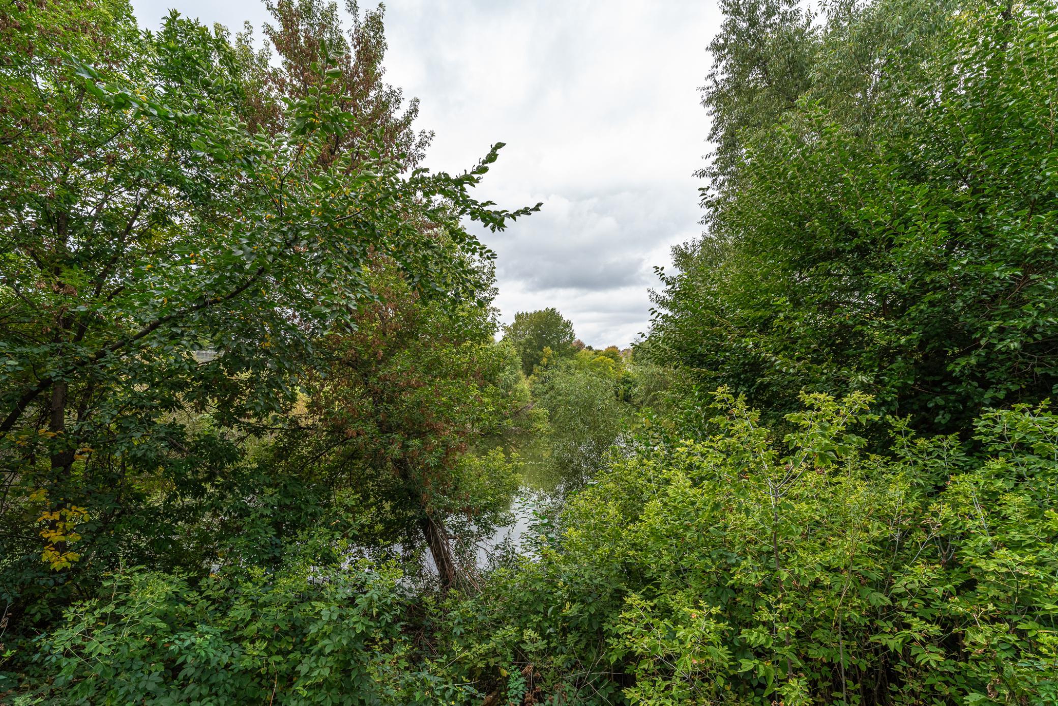 main property photo 62