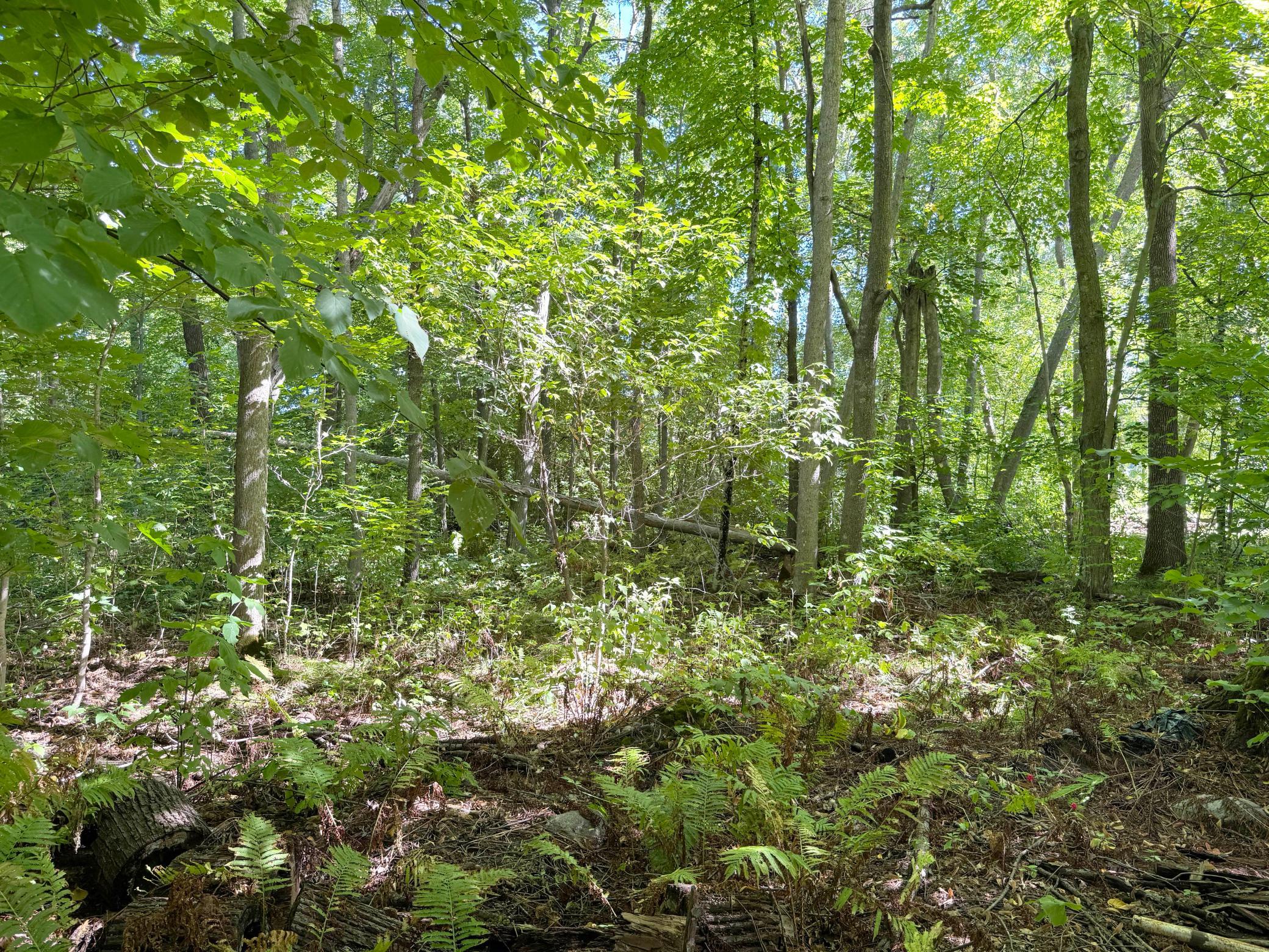 main property photo 55