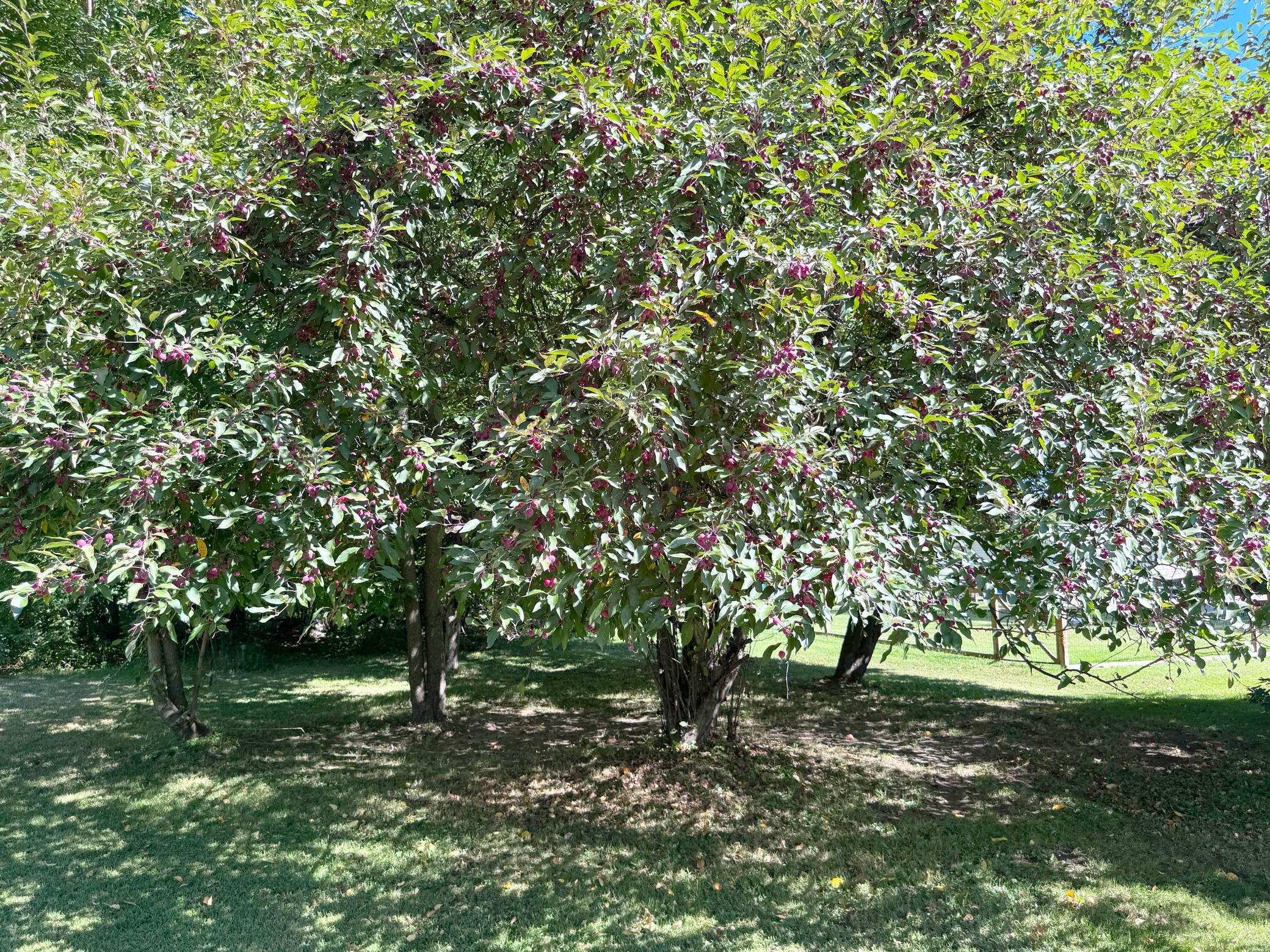 main property photo 65