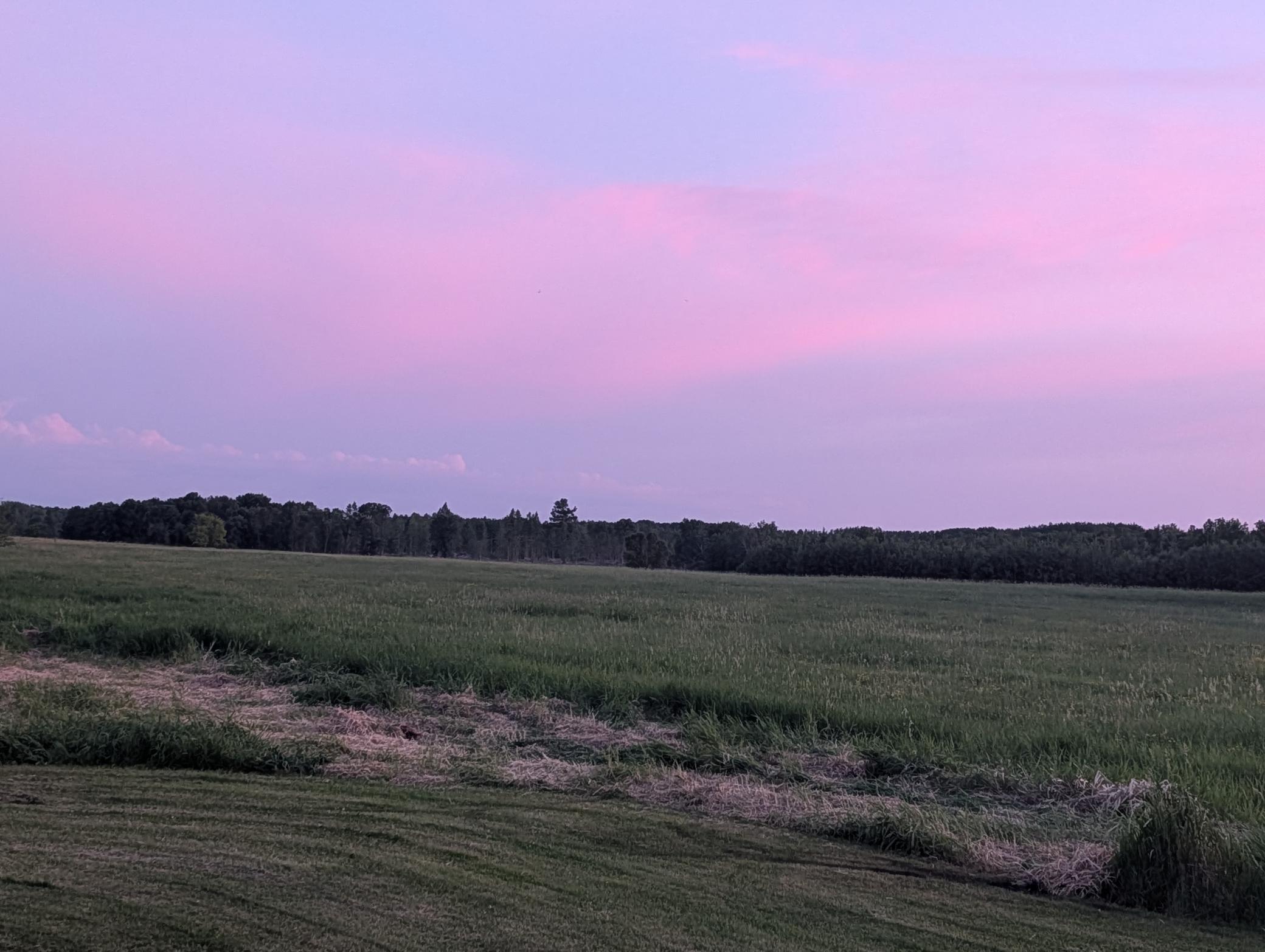 main property photo 48