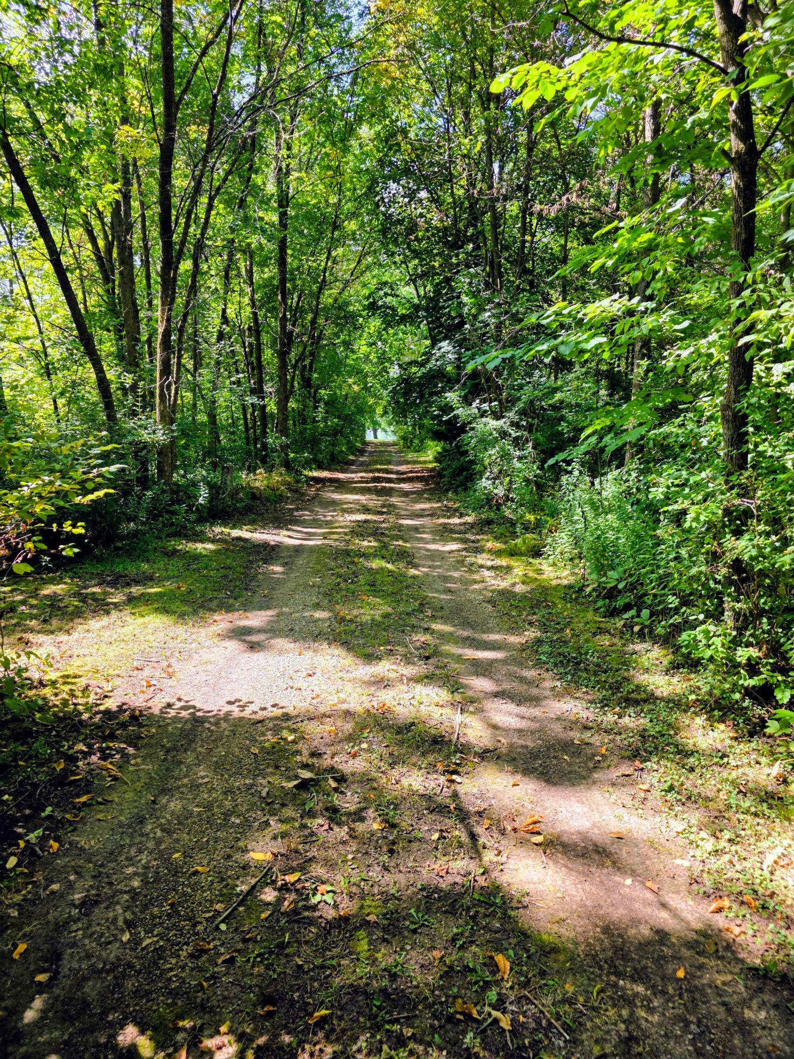 main property photo 17