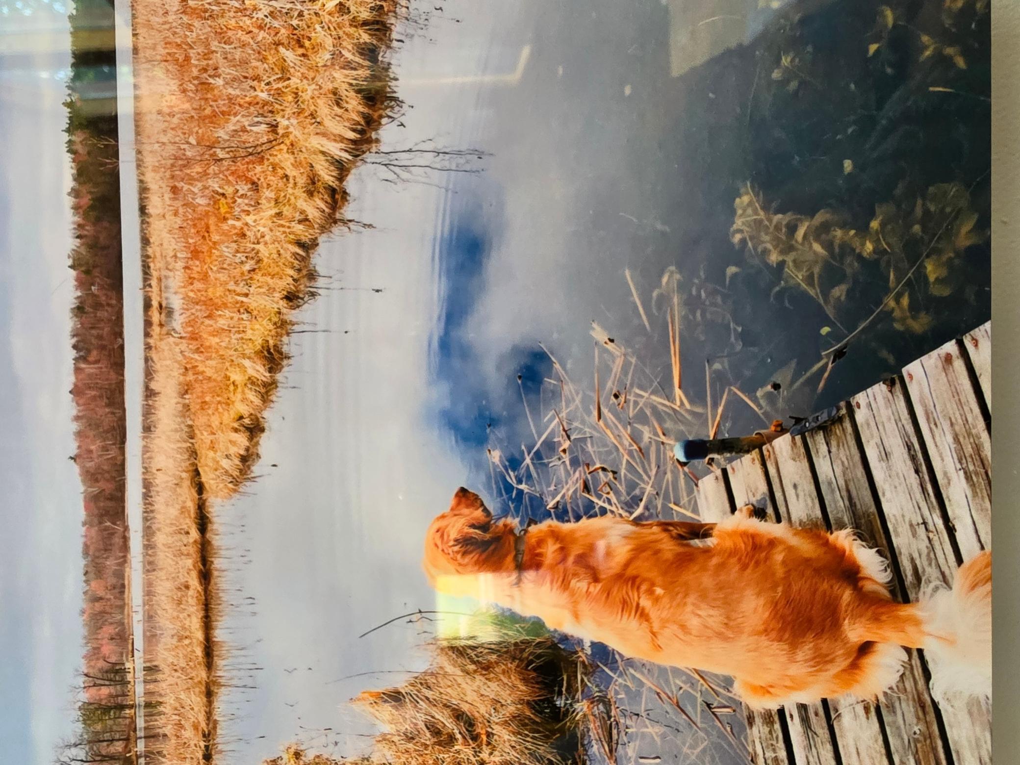 main property photo 56