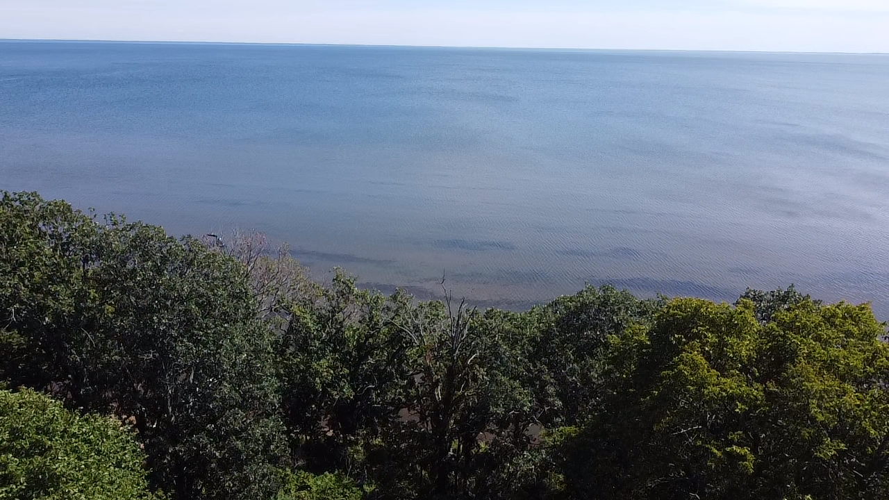 main property photo 58