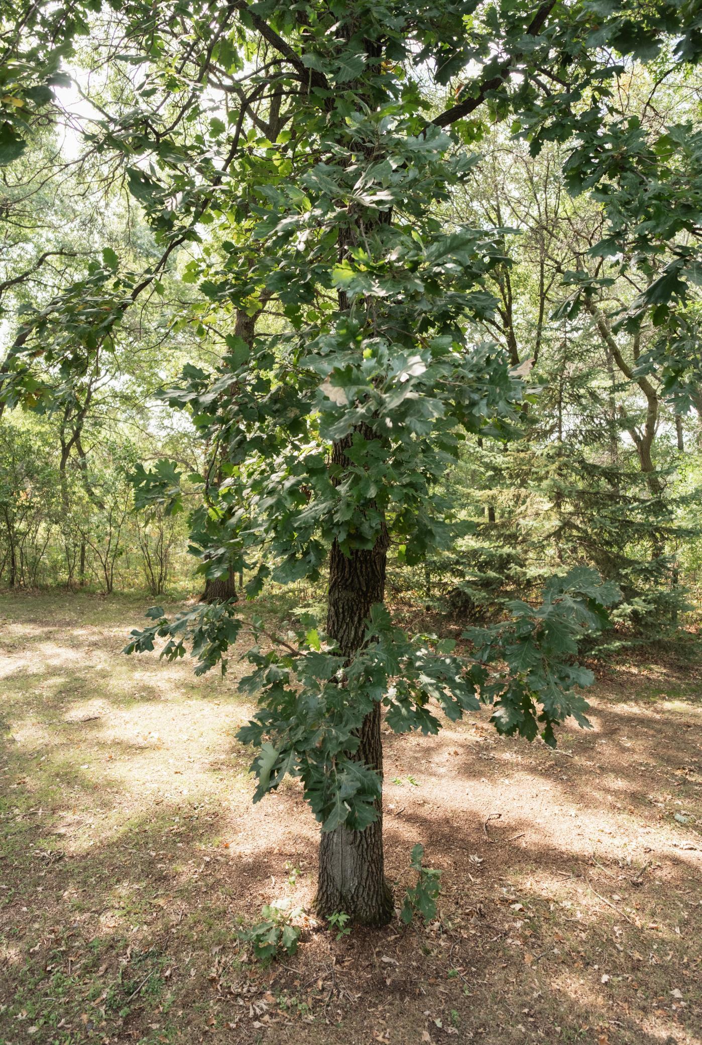 main property photo 88