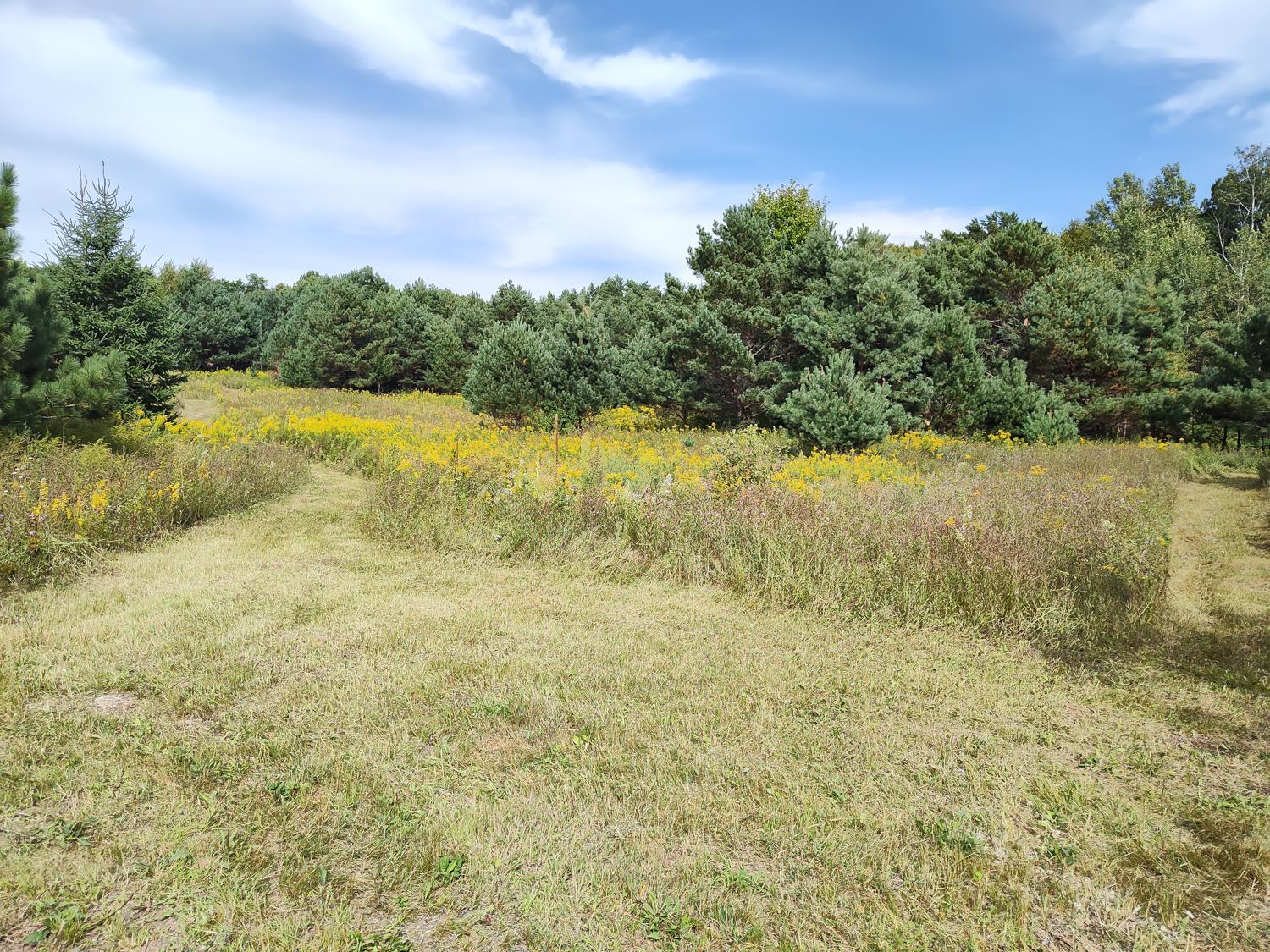 main property photo 0