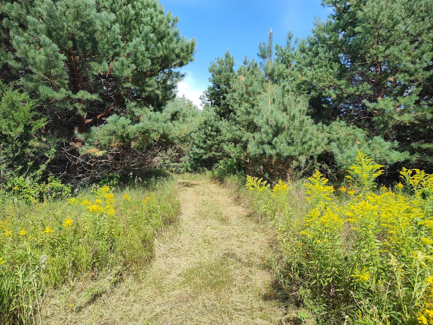 main property photo 8