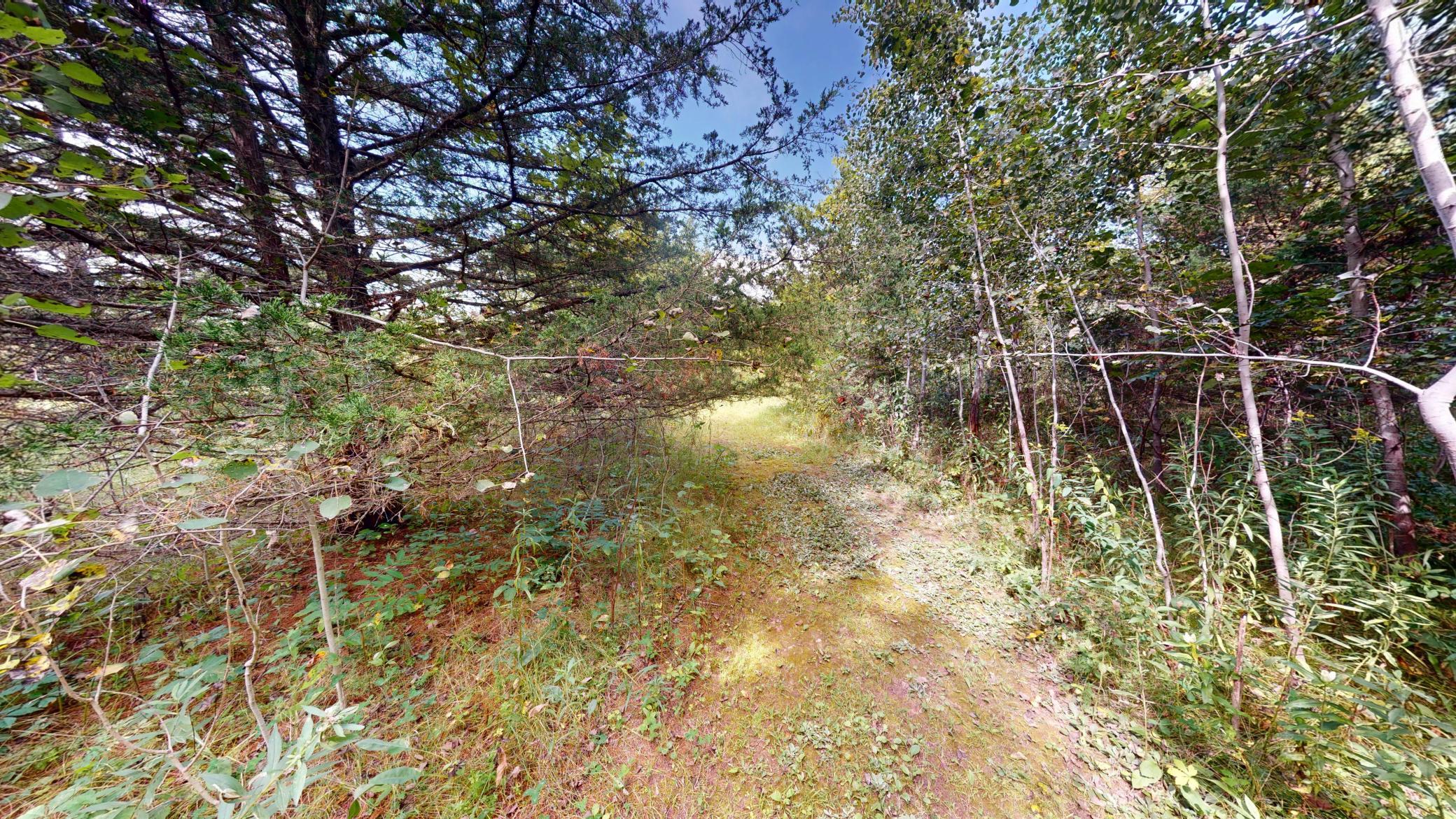 main property photo 10