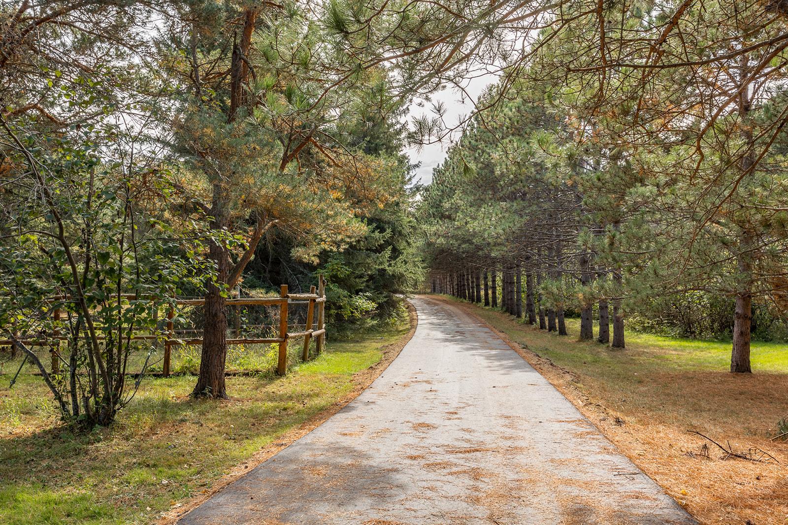 main property photo 78