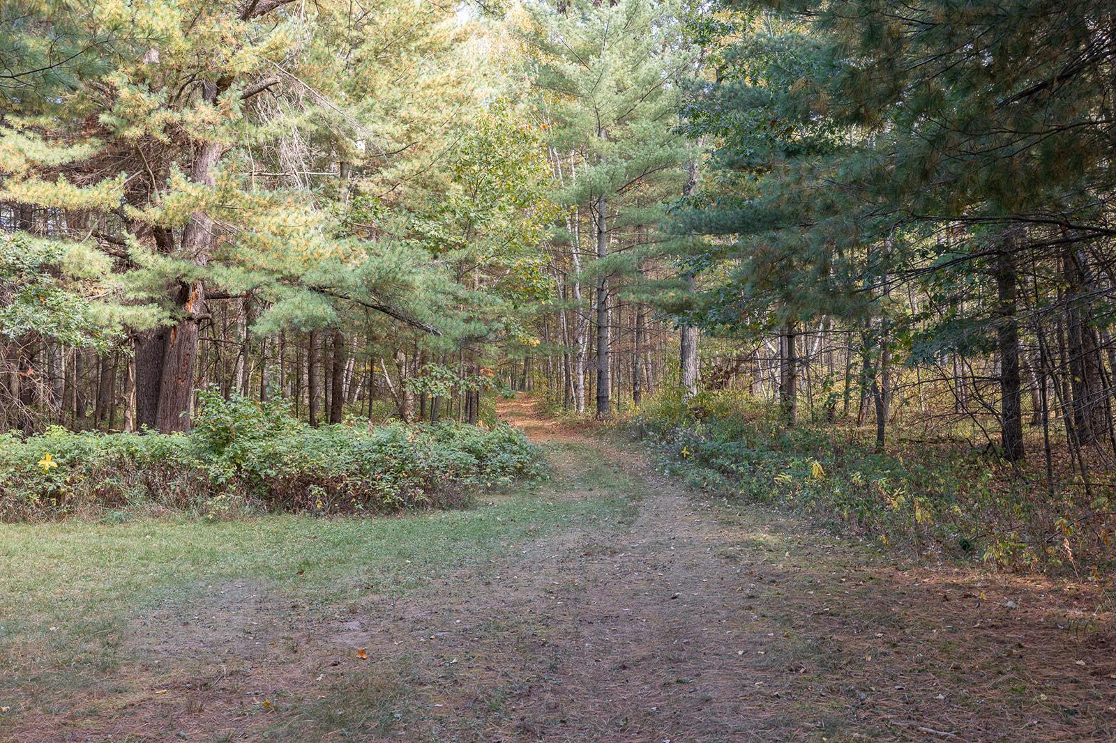main property photo 86