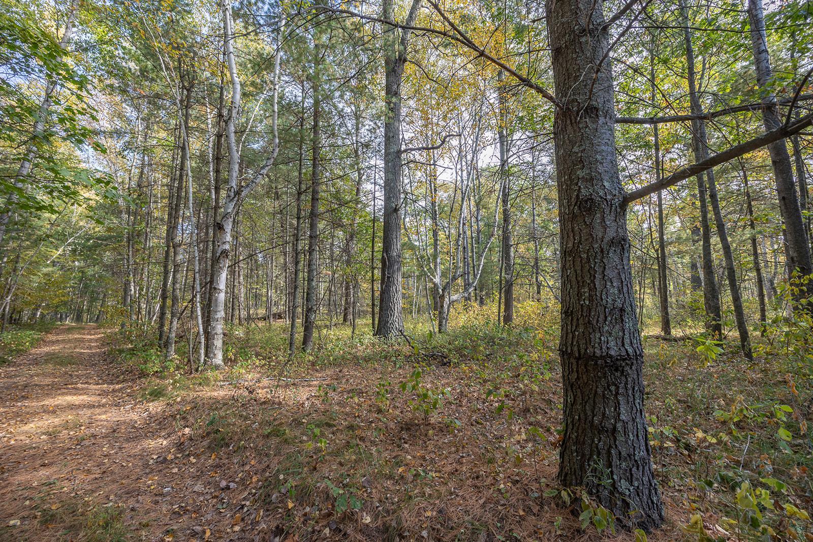 main property photo 89