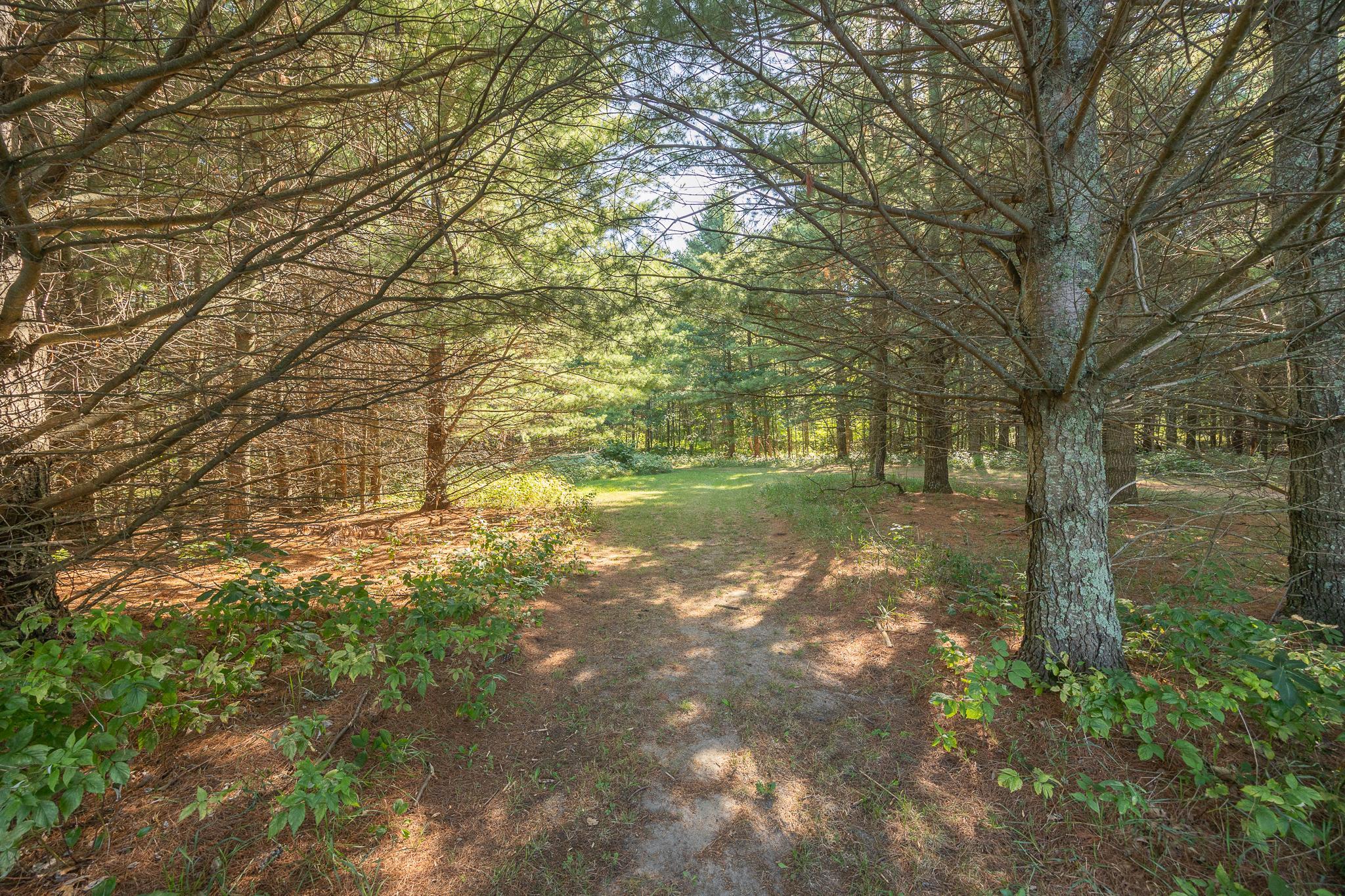 main property photo 90