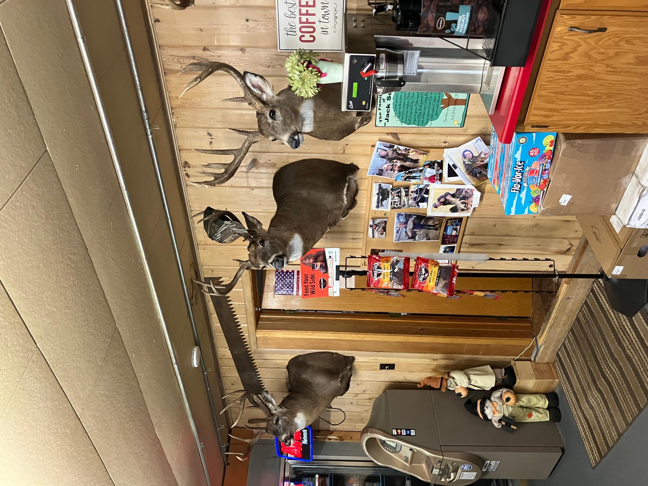 main property photo 11