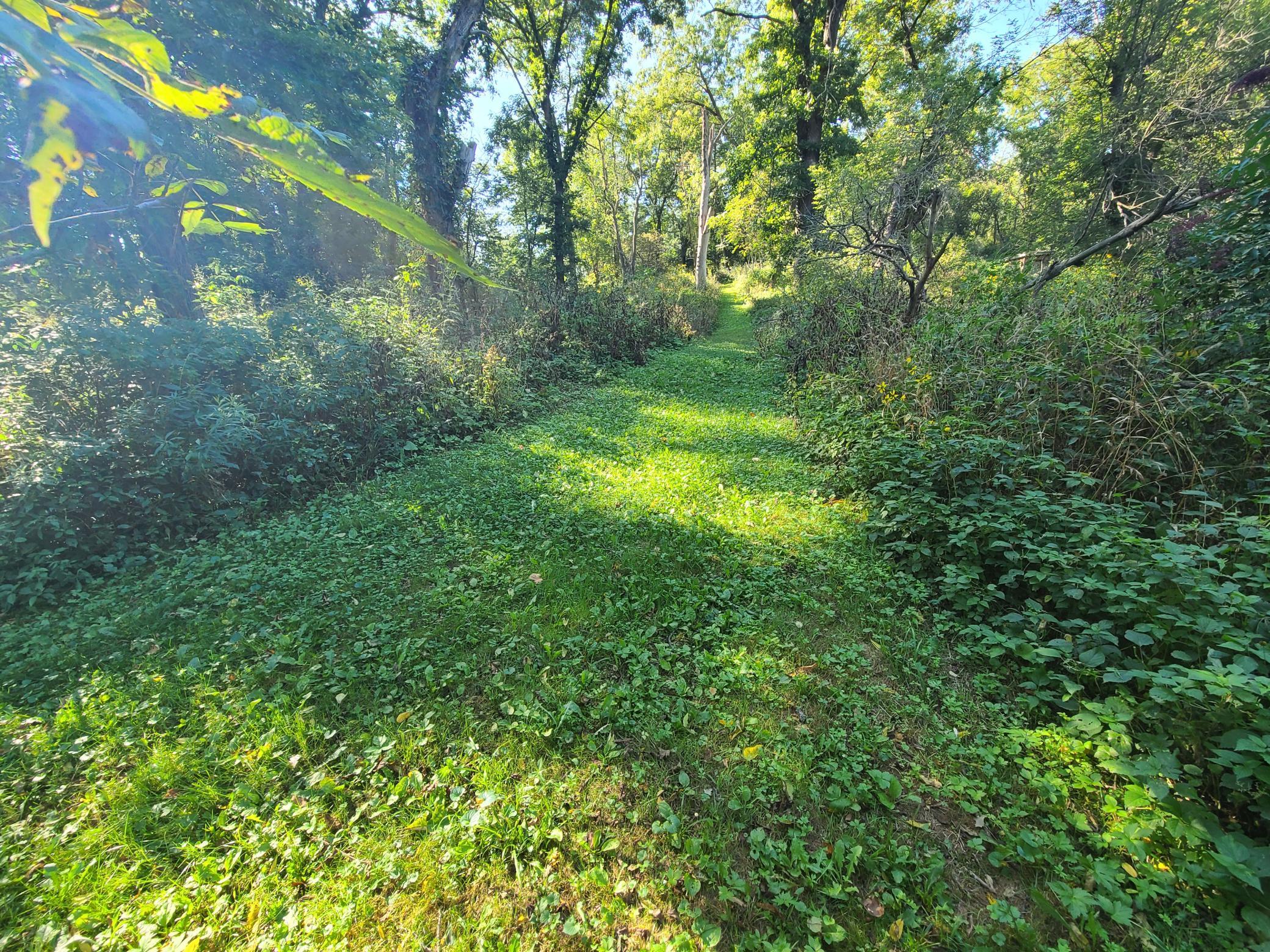main property photo 25