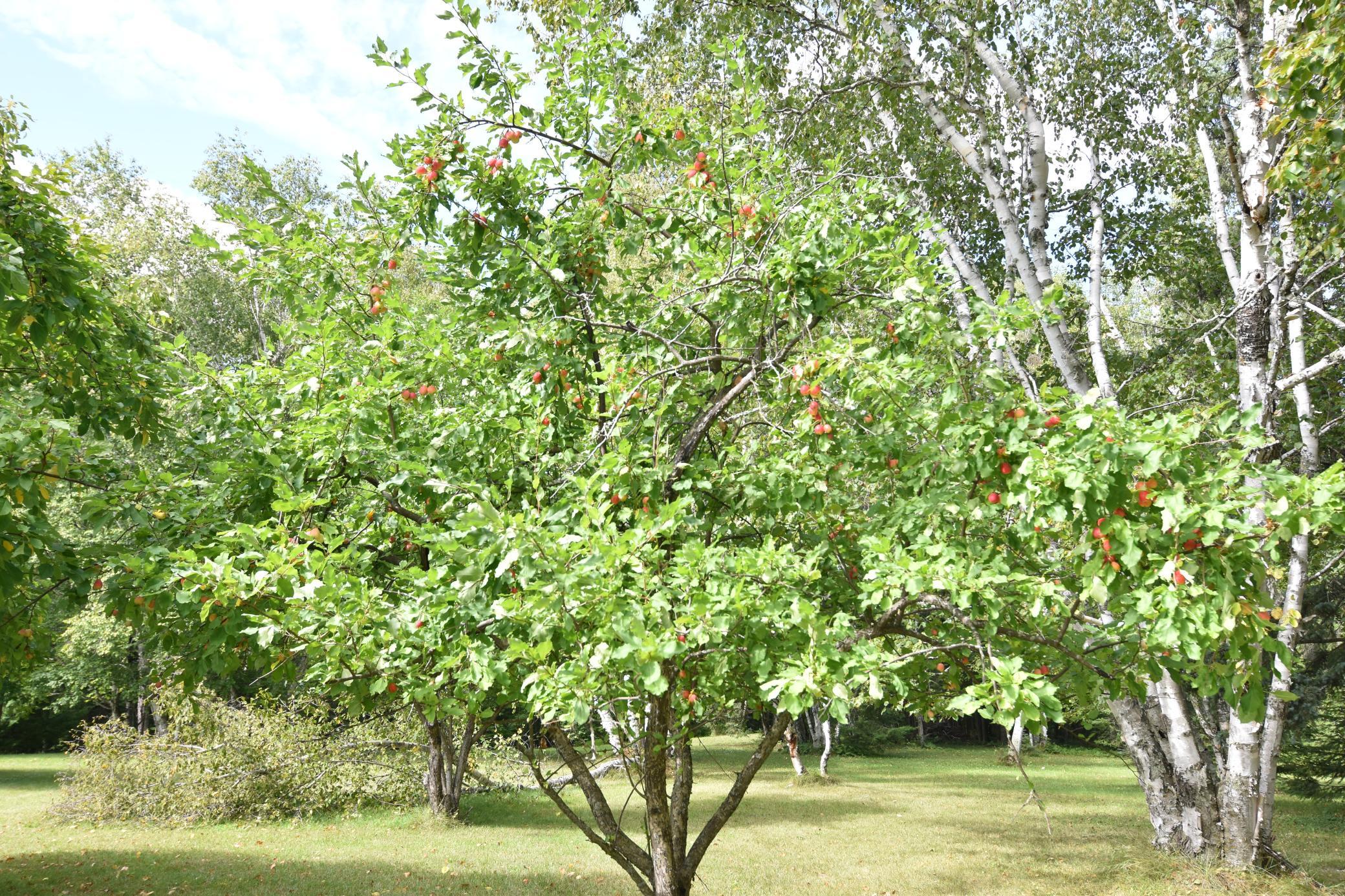 main property photo 18
