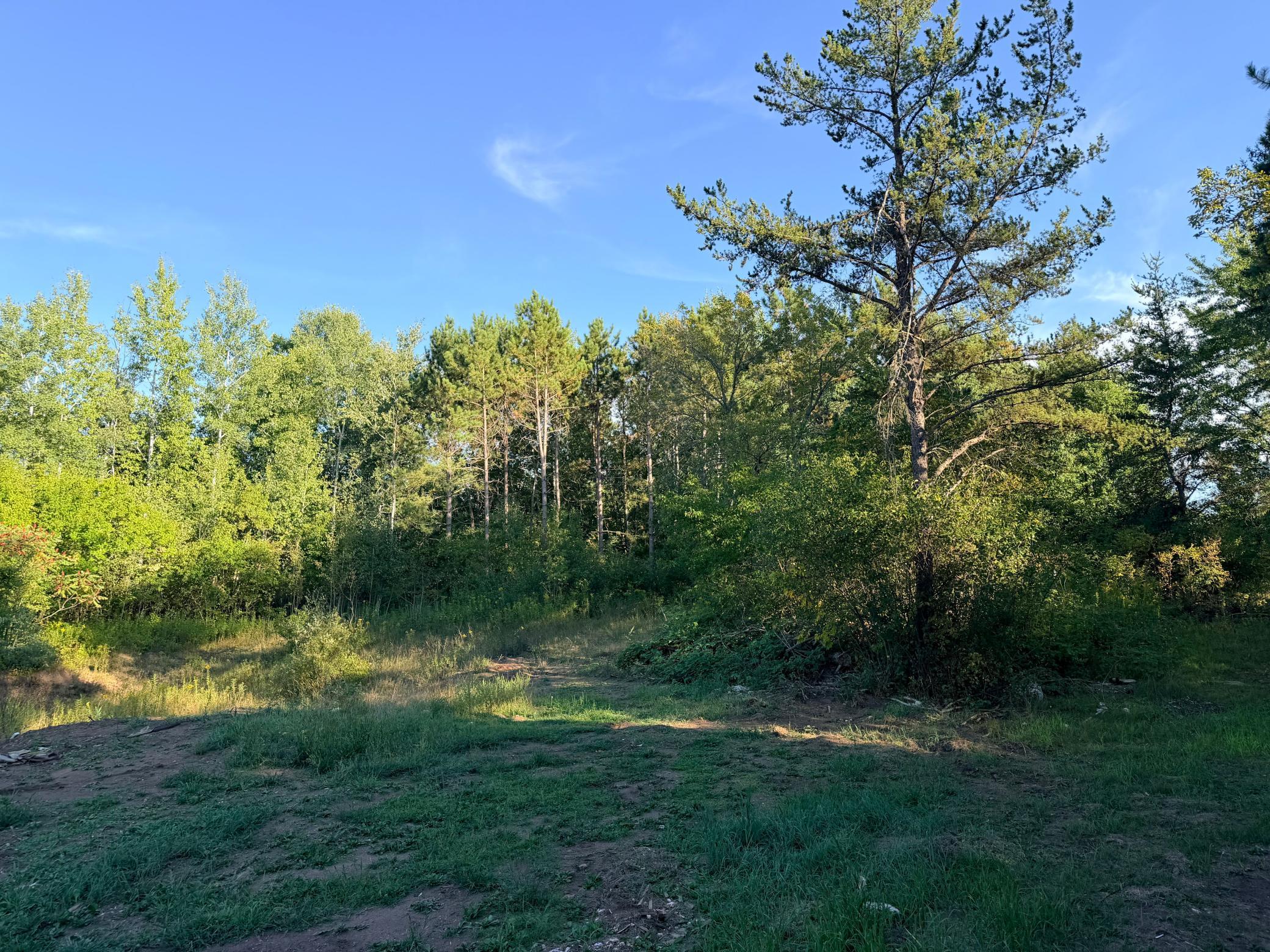 main property photo 7