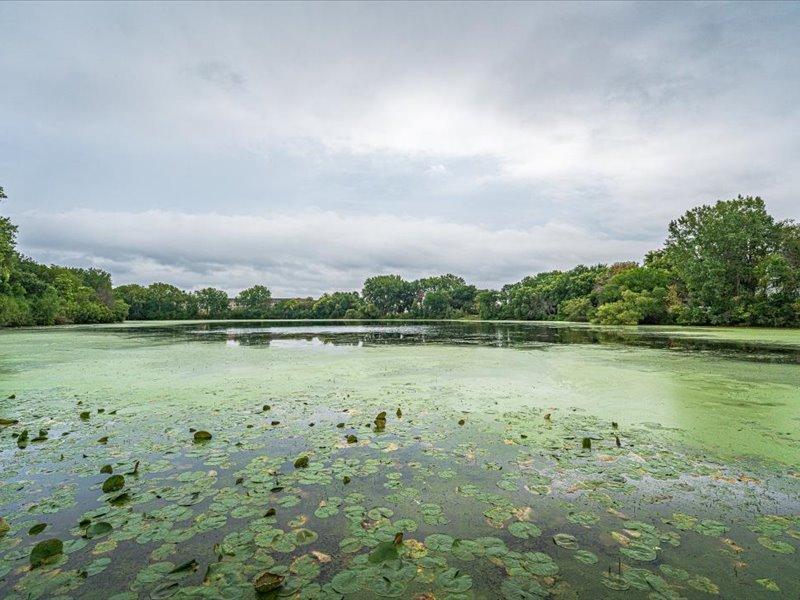 main property photo 53
