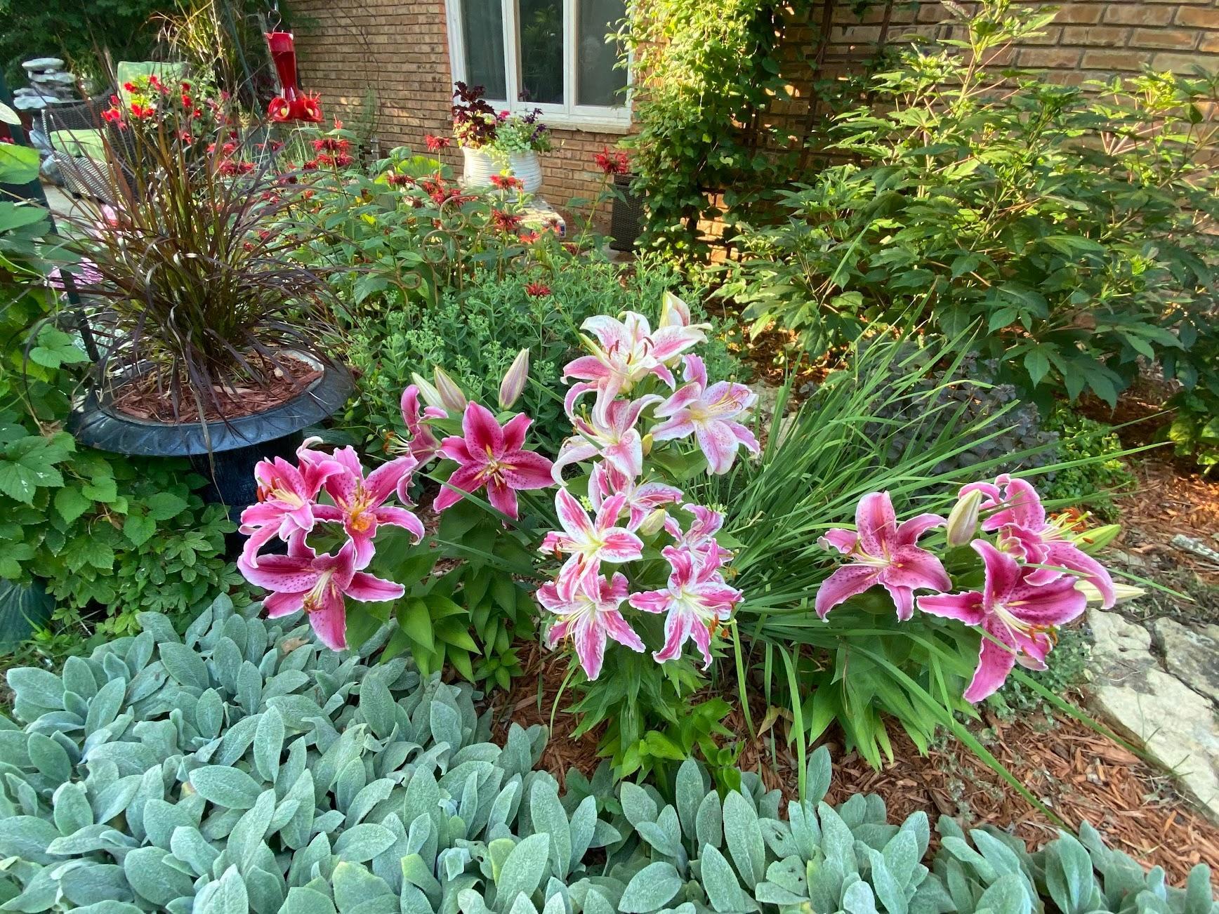 main property photo 61