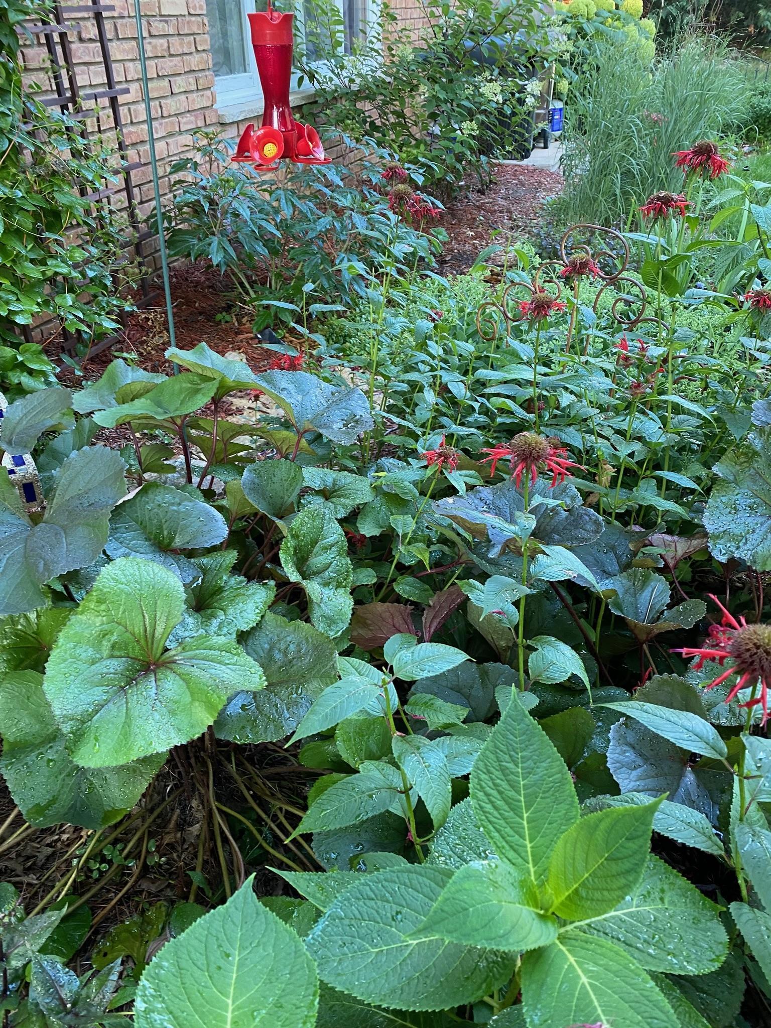 main property photo 68