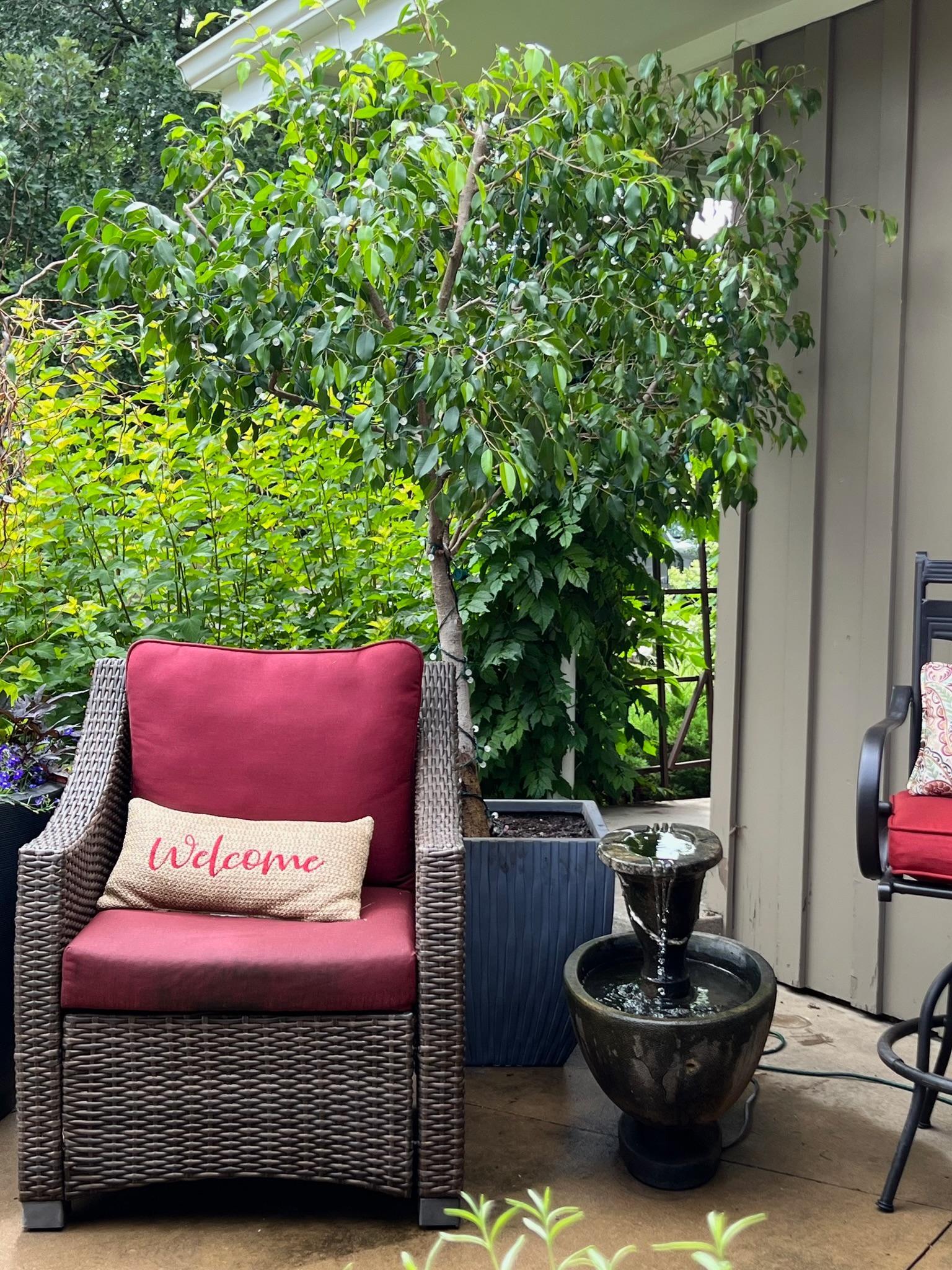 main property photo 69
