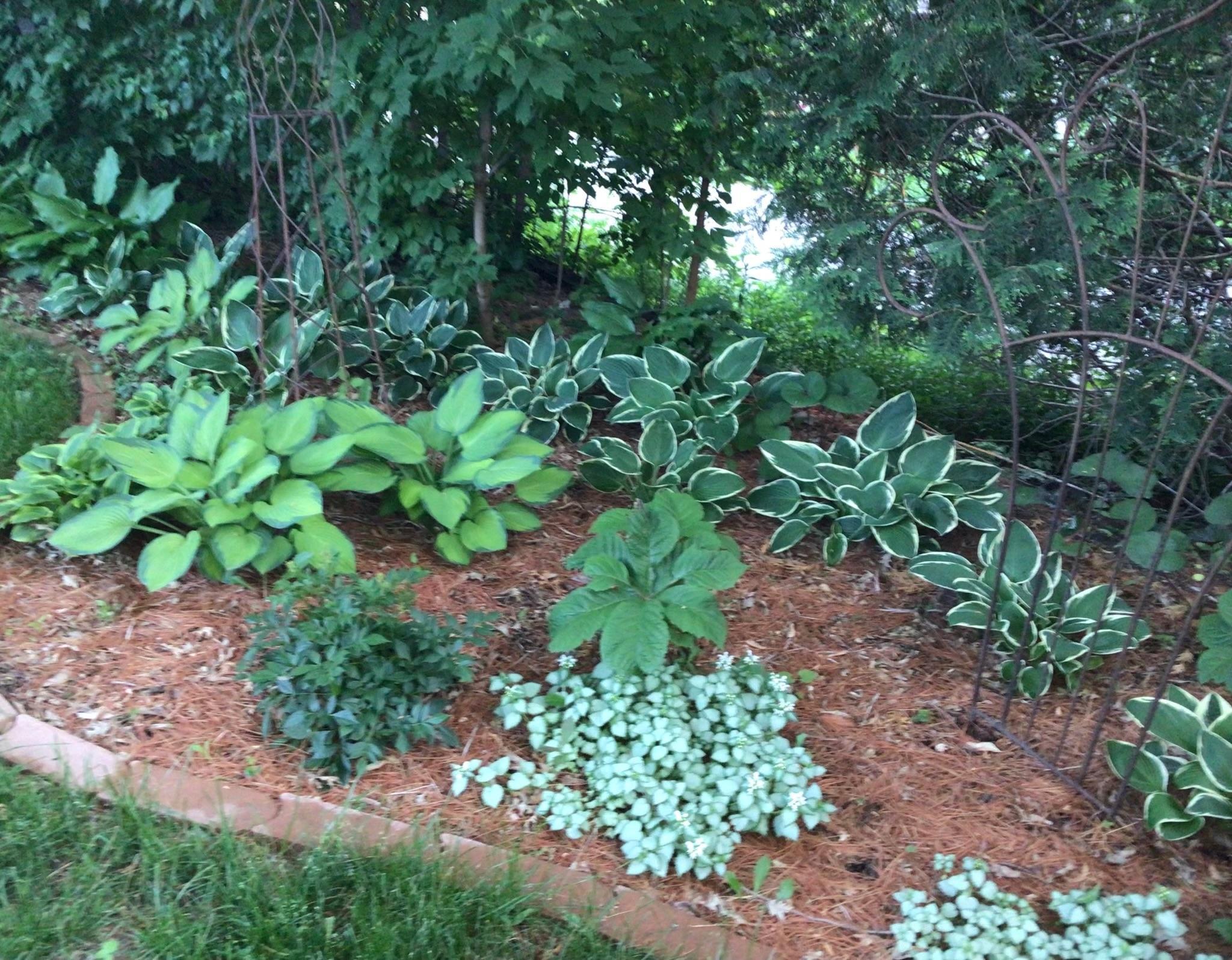 main property photo 70