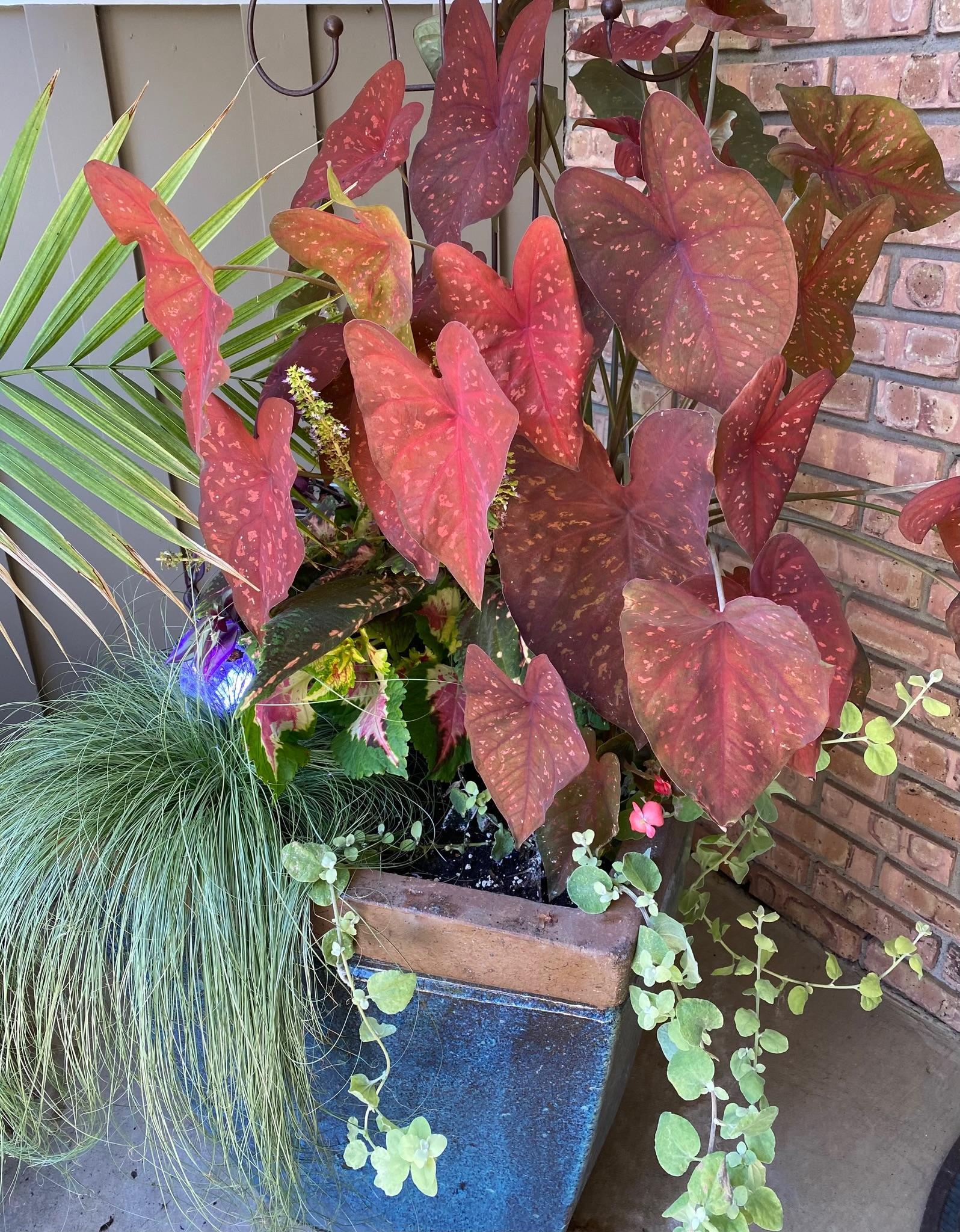 main property photo 80