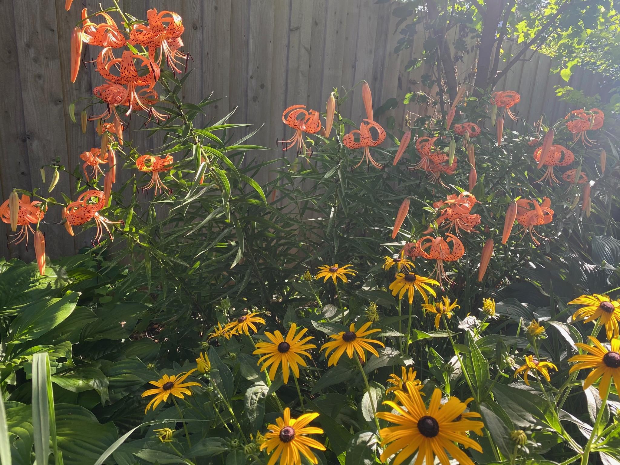 main property photo 81