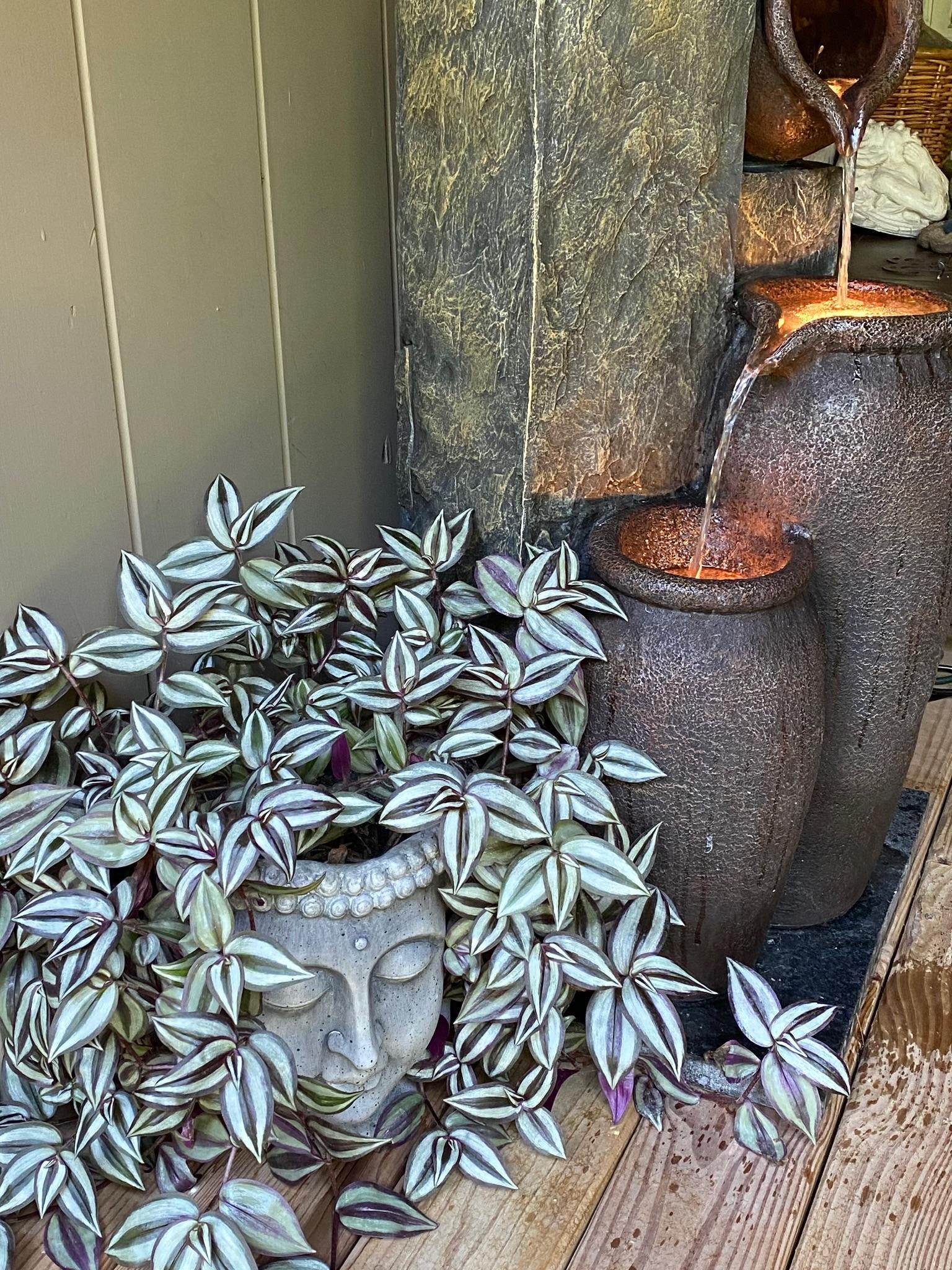 main property photo 82